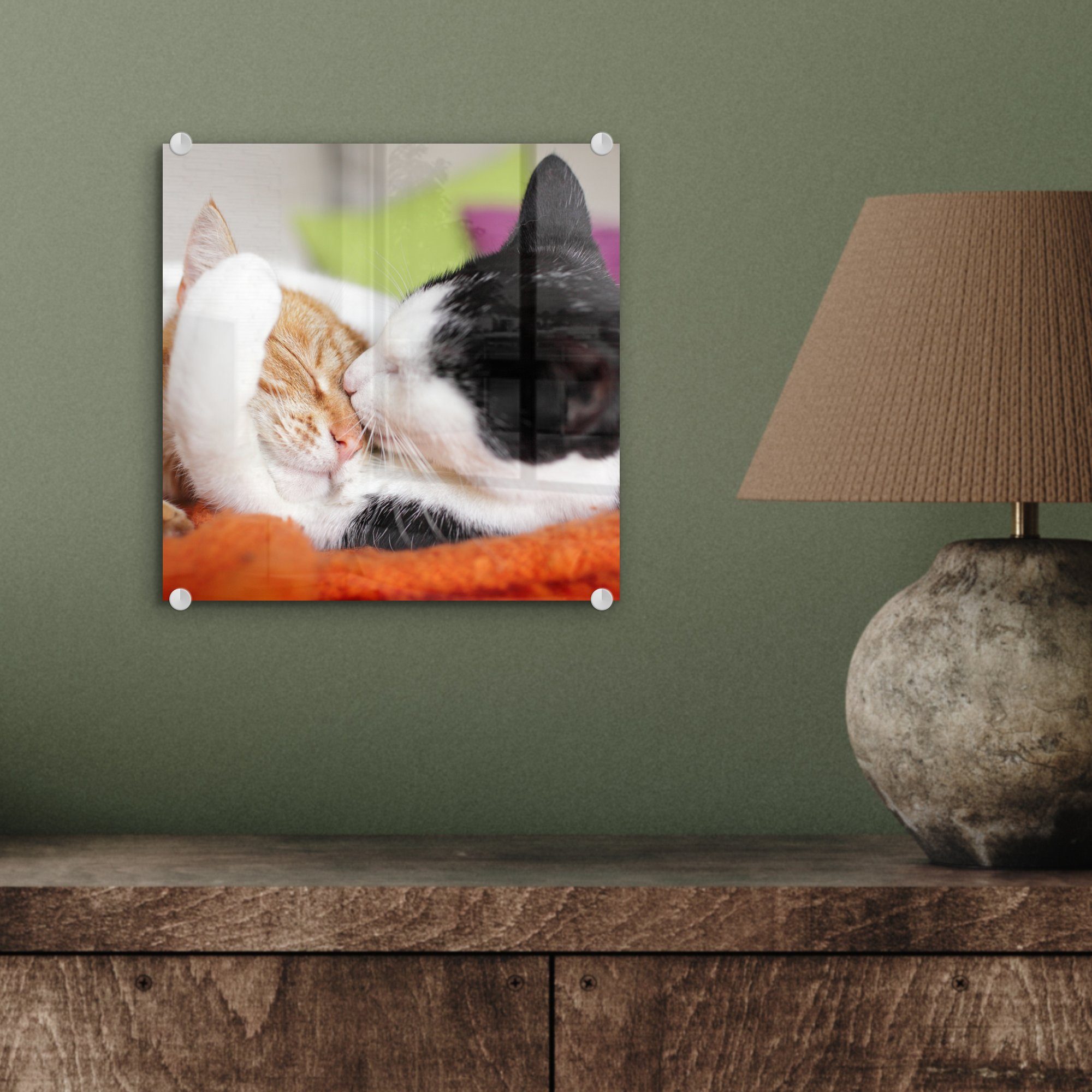 Foto Glas Bilder - auf Glas Wandbild - Wanddekoration MuchoWow Animal - - Acrylglasbild Katzen auf Glasbilder Kuscheltier (1 - Day, St),