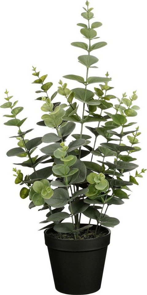 Kunstpflanze Mica Kunstpflanze Eukalyptus grün im Topf Ø 23 x, Mica  Decorations