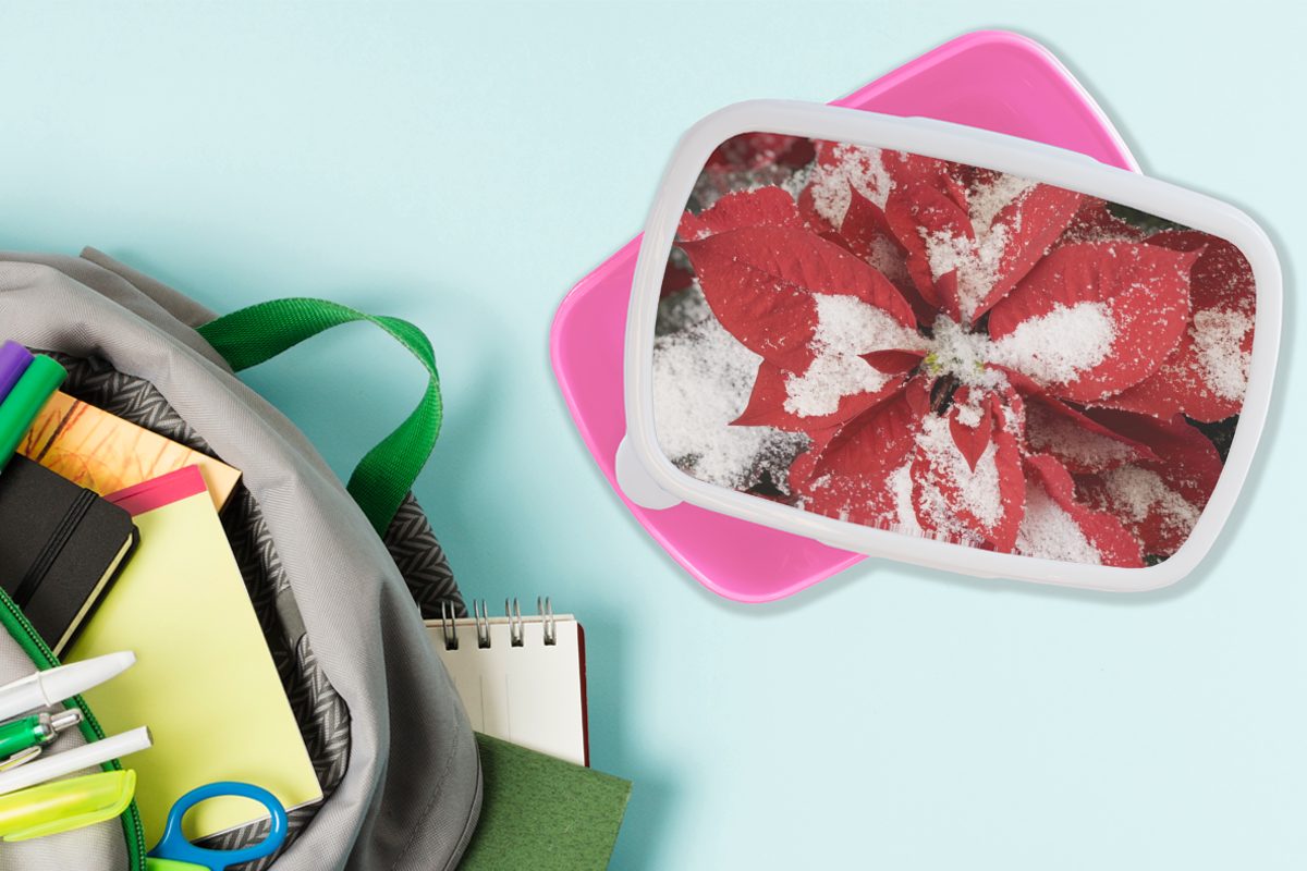 MuchoWow Lunchbox Christrose - Weihnachtsblume, rosa Brotdose für Kunststoff Kinder, Brotbox (2-tlg), Kunststoff, Erwachsene, Mädchen, Snackbox