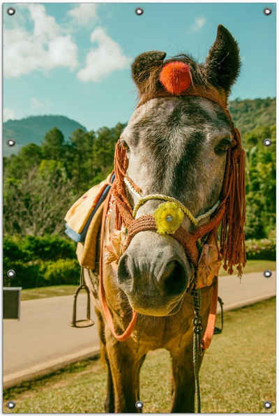 Wallario Sichtschutzzaunmatten Klassisch geschmücktes Pony