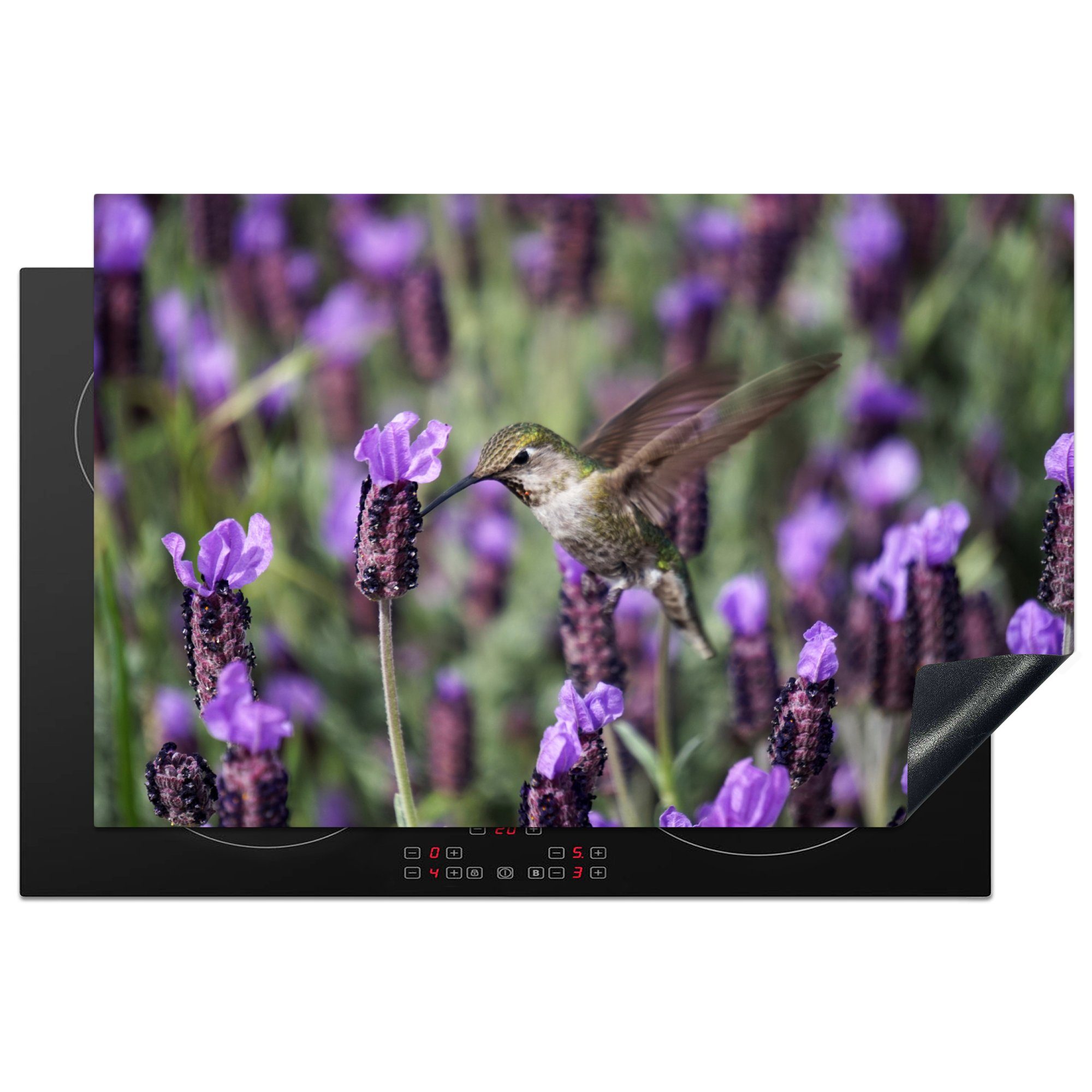 MuchoWow Herdblende-/Abdeckplatte Lavendel - Vogel - Blumen, Vinyl, (1 tlg), 81x52 cm, Induktionskochfeld Schutz für die küche, Ceranfeldabdeckung