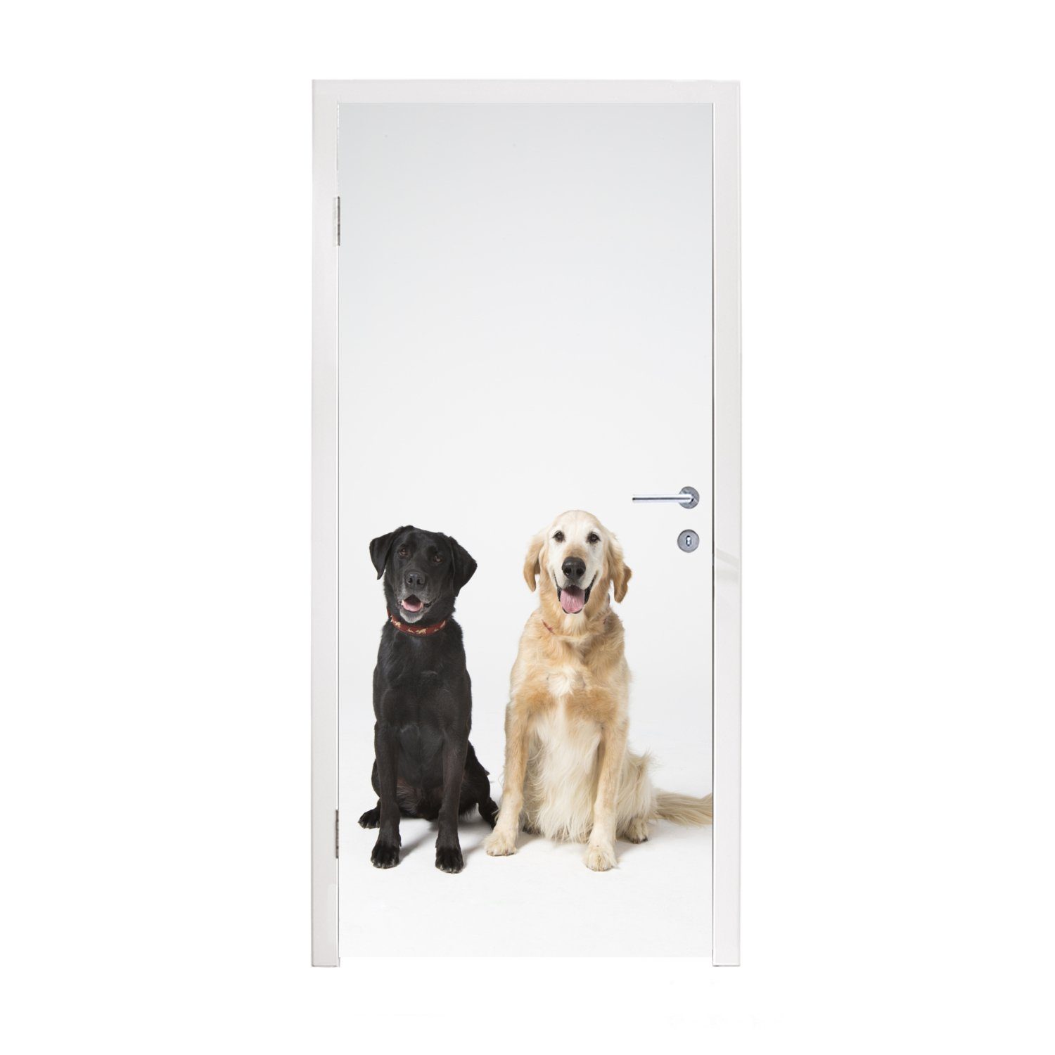MuchoWow Türtapete Zwei Labrador Retriever zusammen im Studio, Matt, bedruckt, (1 St), Fototapete für Tür, Türaufkleber, 75x205 cm