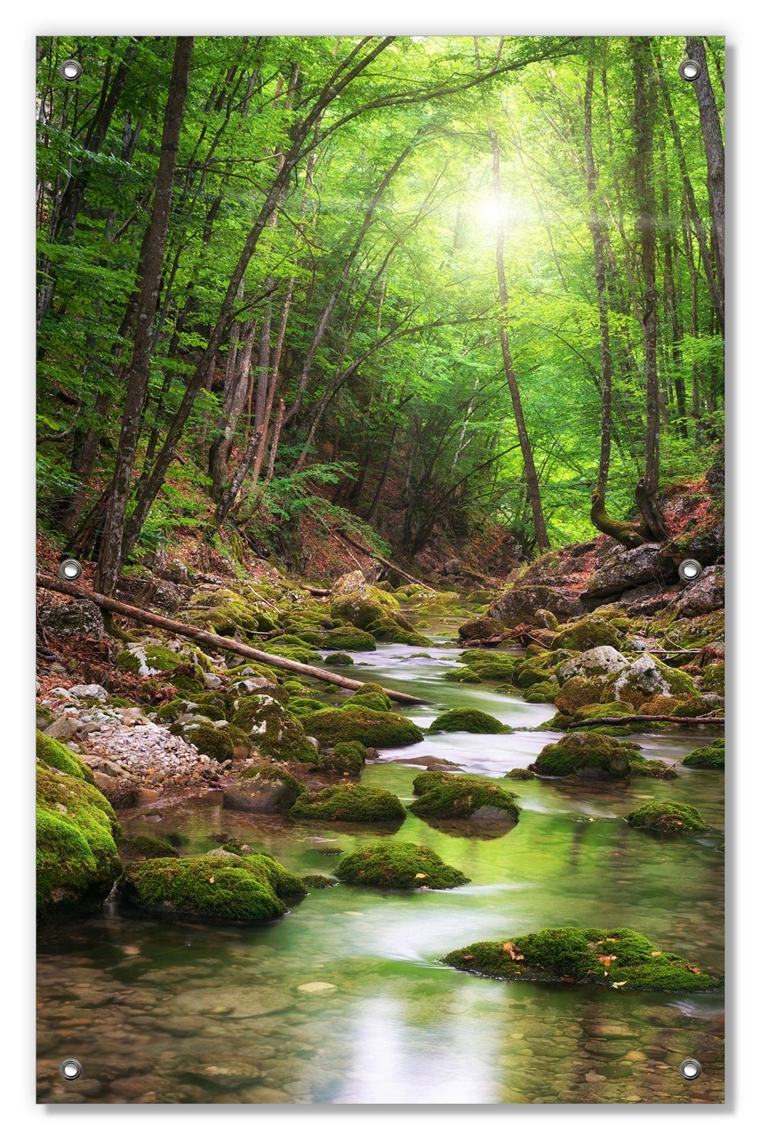 Sonnenschutz Fluss im Wald, Wallario, blickdicht, mit Saugnäpfen, wiederablösbar und wiederverwendbar