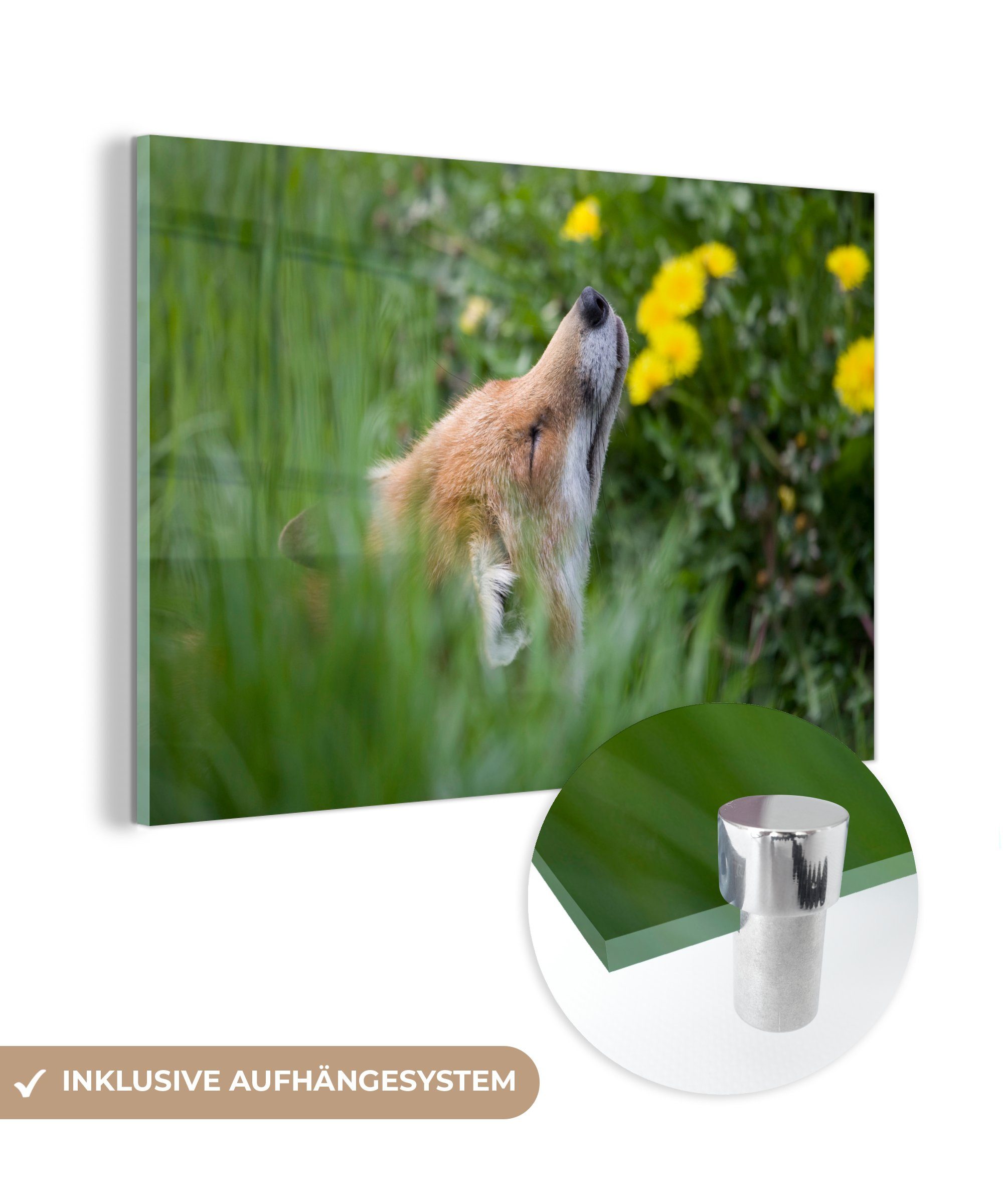 MuchoWow Acrylglasbild Fuchs - Blumen - Gelb, (1 St), Acrylglasbilder Wohnzimmer & Schlafzimmer