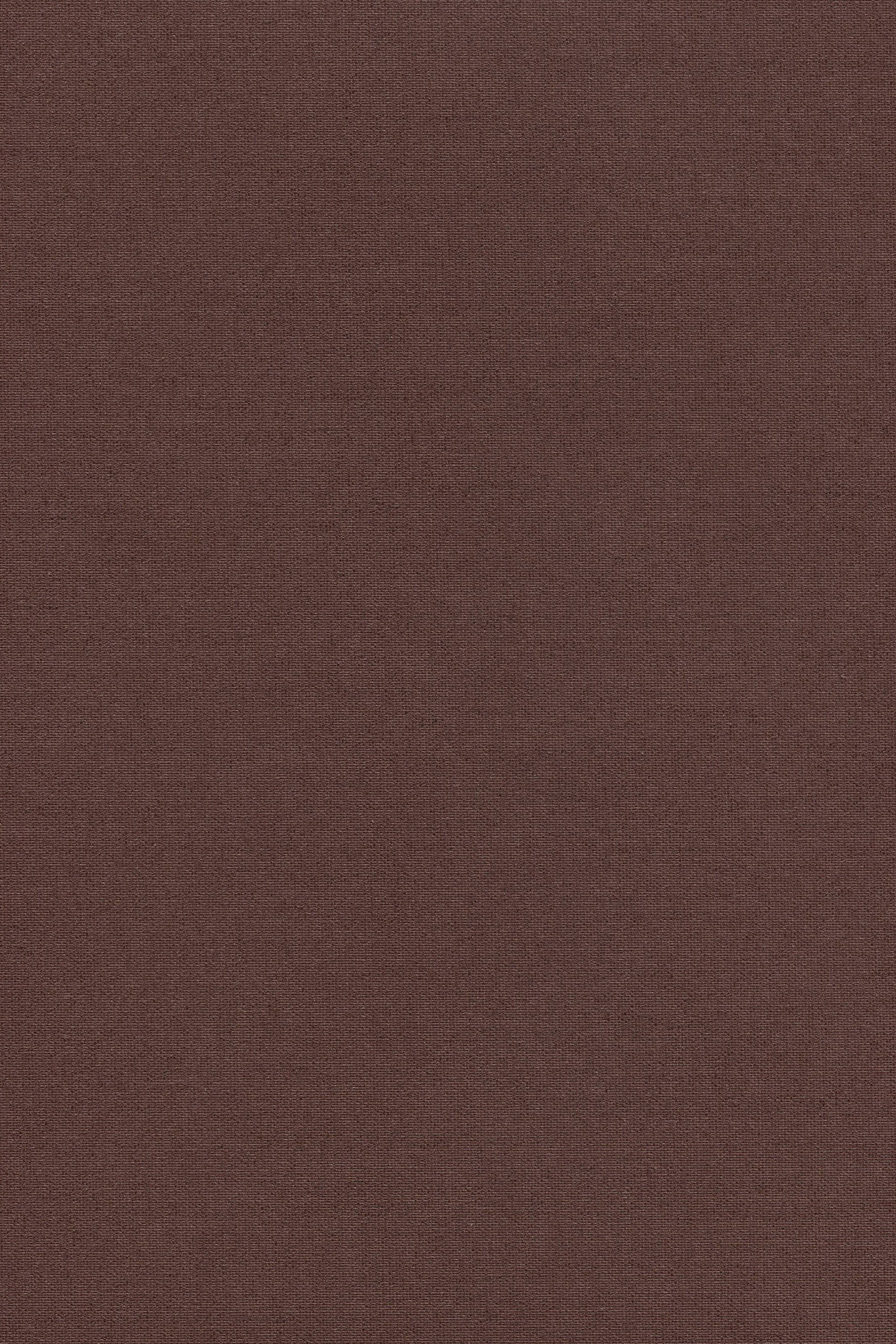 Rollo Basisrollo Tageslicht Schokobraun, LYSEL®, blickdicht, HxB 190x62.5cm