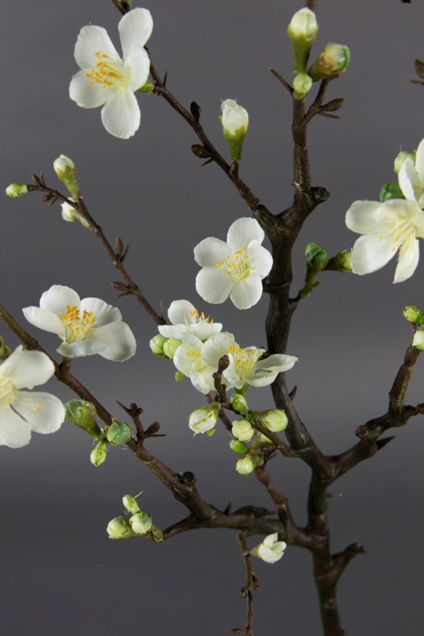 Kunstblume Künstlicher Kirschblütenzweig / Ast 75x30cm GA Kirschblüte, Seid günstig online kaufen