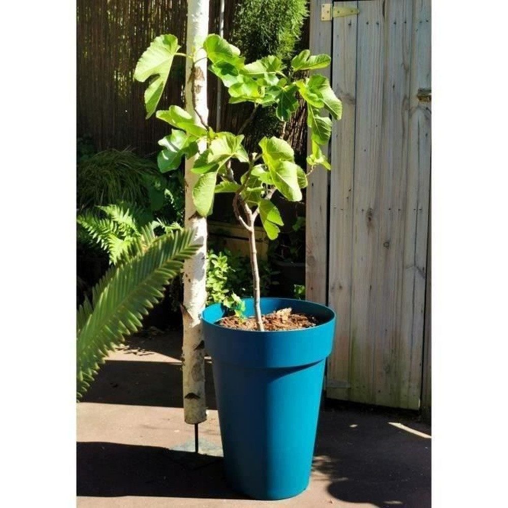 Riviera System Balkonkasten Blumenkasten RIVIERA SOLEILLA – Kunststoff – Höhe 53 cm – Blau
