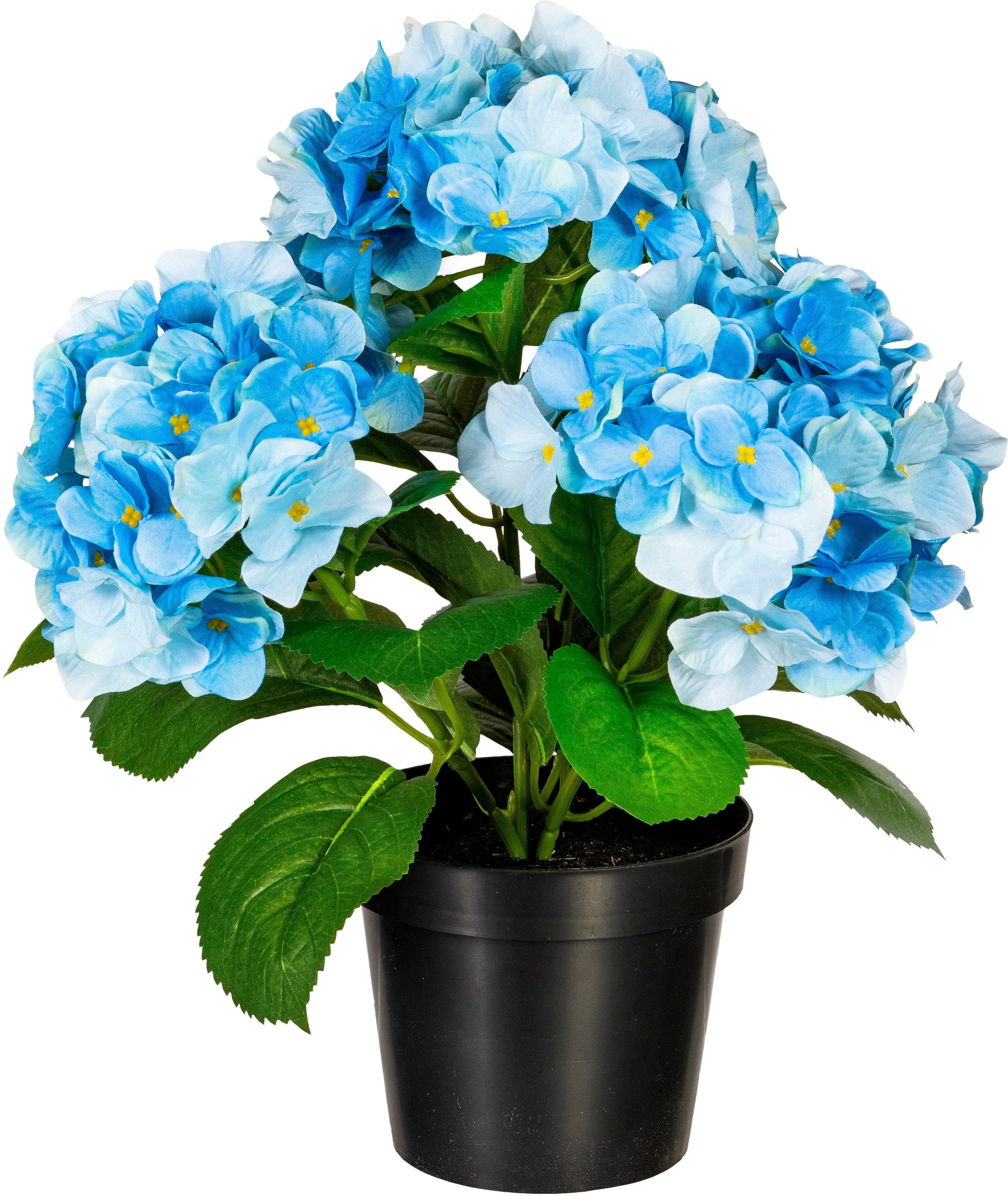 Kunstpflanze Hortensienbusch Hortensie, Creativ green, Höhe 40 cm