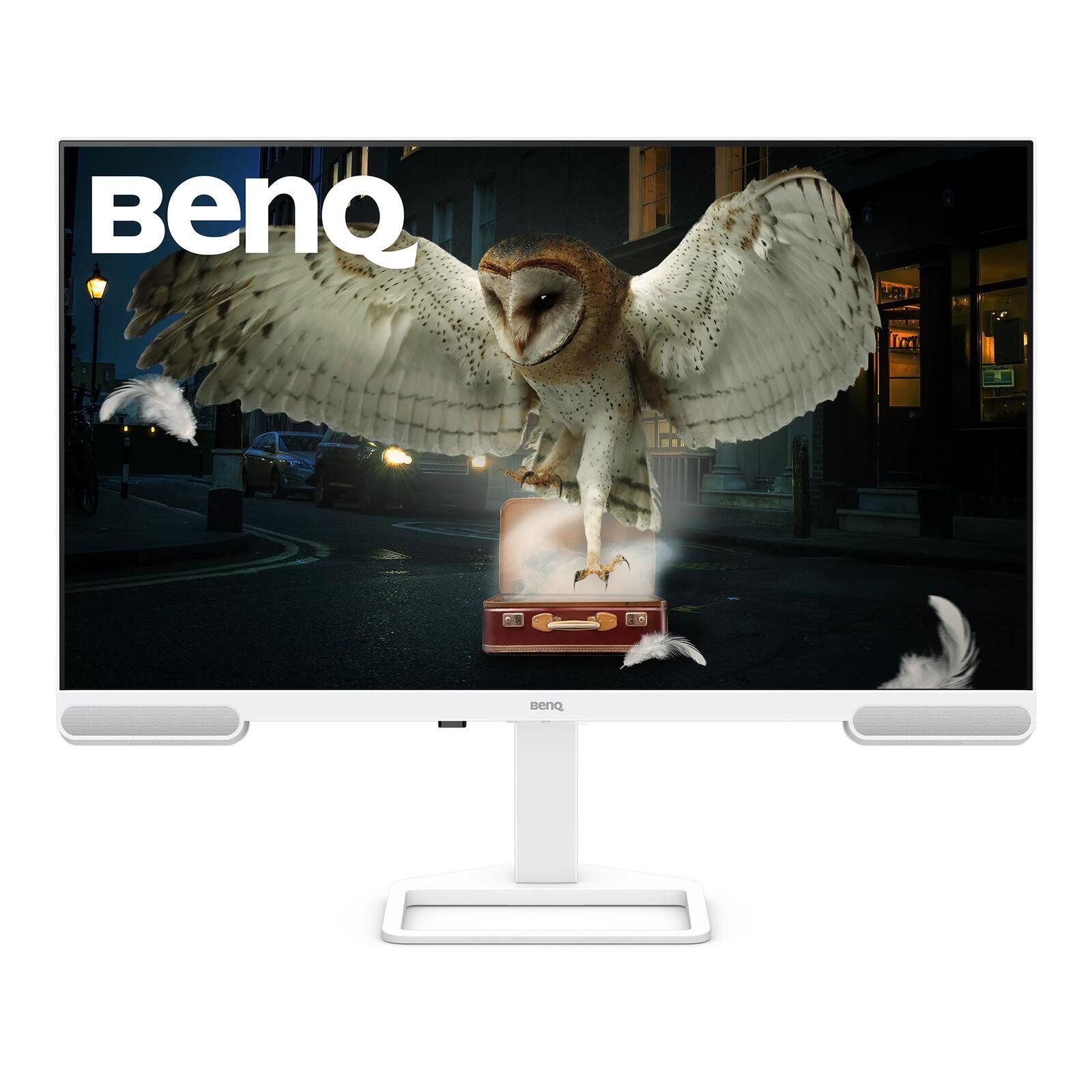 BenQ EW3290U TFT-Monitor (3840 x 2160, 5 ms Reaktionszeit, 60 Hz, IPS Panel)
