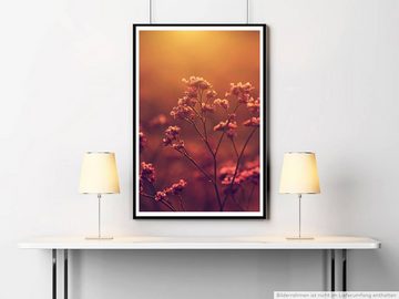 Sinus Art Poster Naturfotografie 60x90cm Poster Romantischer Blütenzweig bei Sonnenuntergang