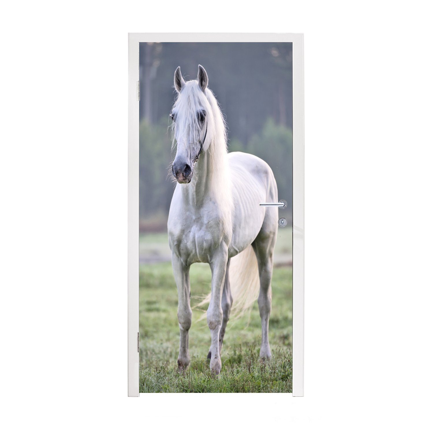 MuchoWow Türtapete Pferd - Licht - Morgen, Matt, bedruckt, (1 St), Fototapete für Tür, Türaufkleber, 75x205 cm