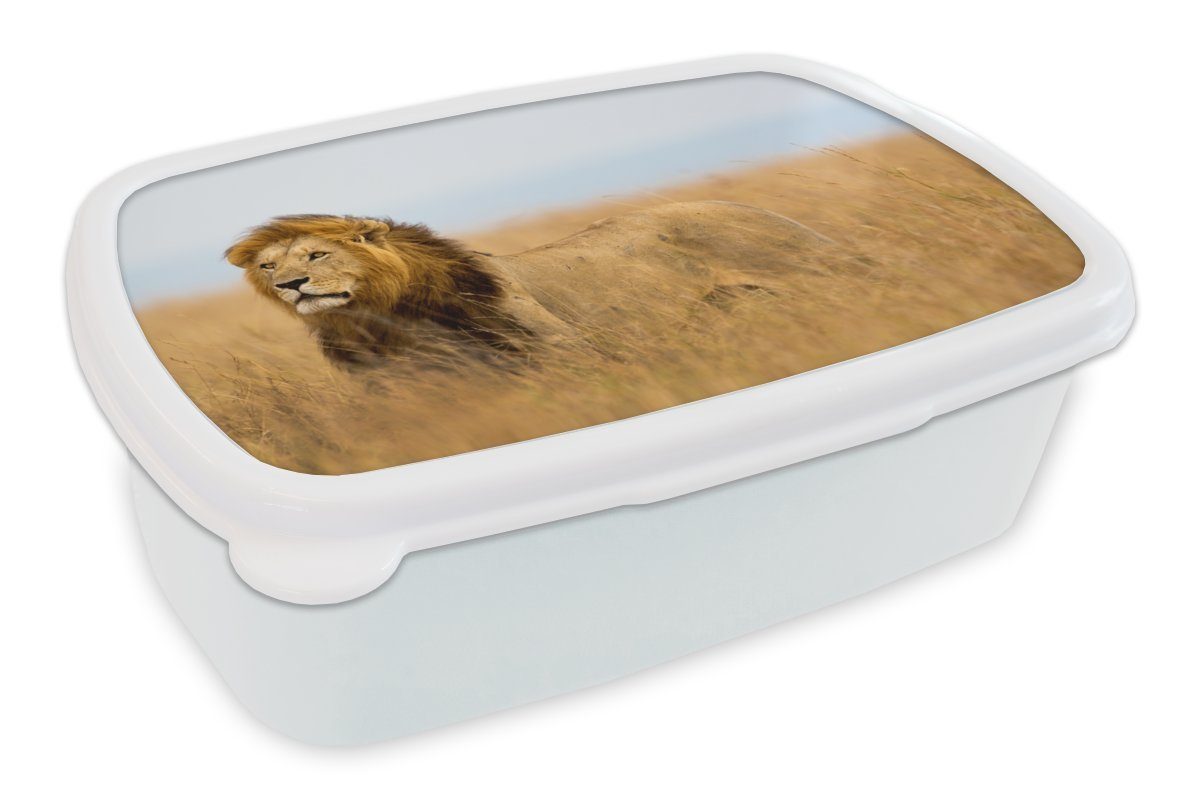 MuchoWow Lunchbox Löwen - Gras - Afrika, Kunststoff, (2-tlg), Brotbox für Kinder und Erwachsene, Brotdose, für Jungs und Mädchen weiß
