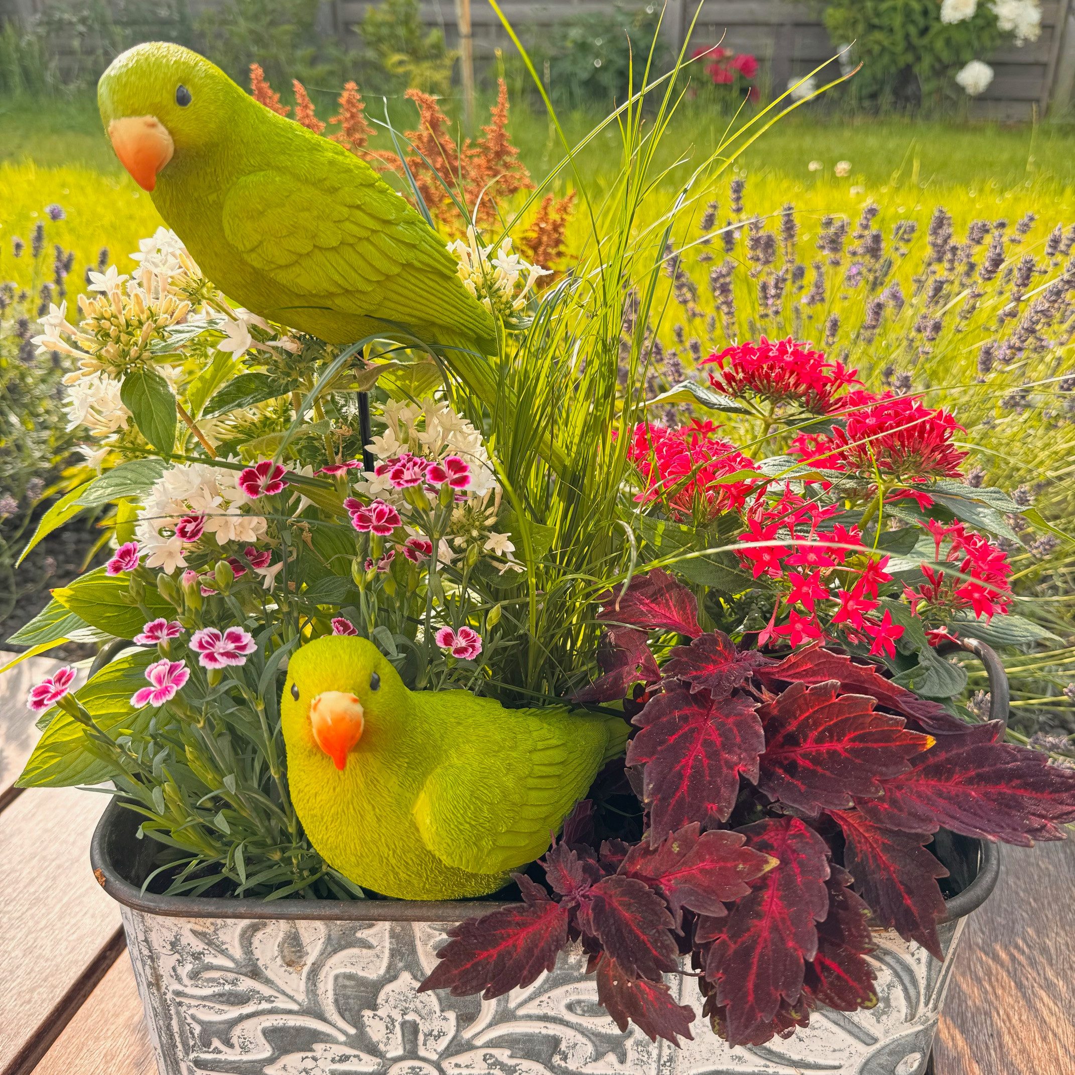 Online-Fuchs Dekofigur Gartenfiguren - 2 Papageien, günstig online kaufen