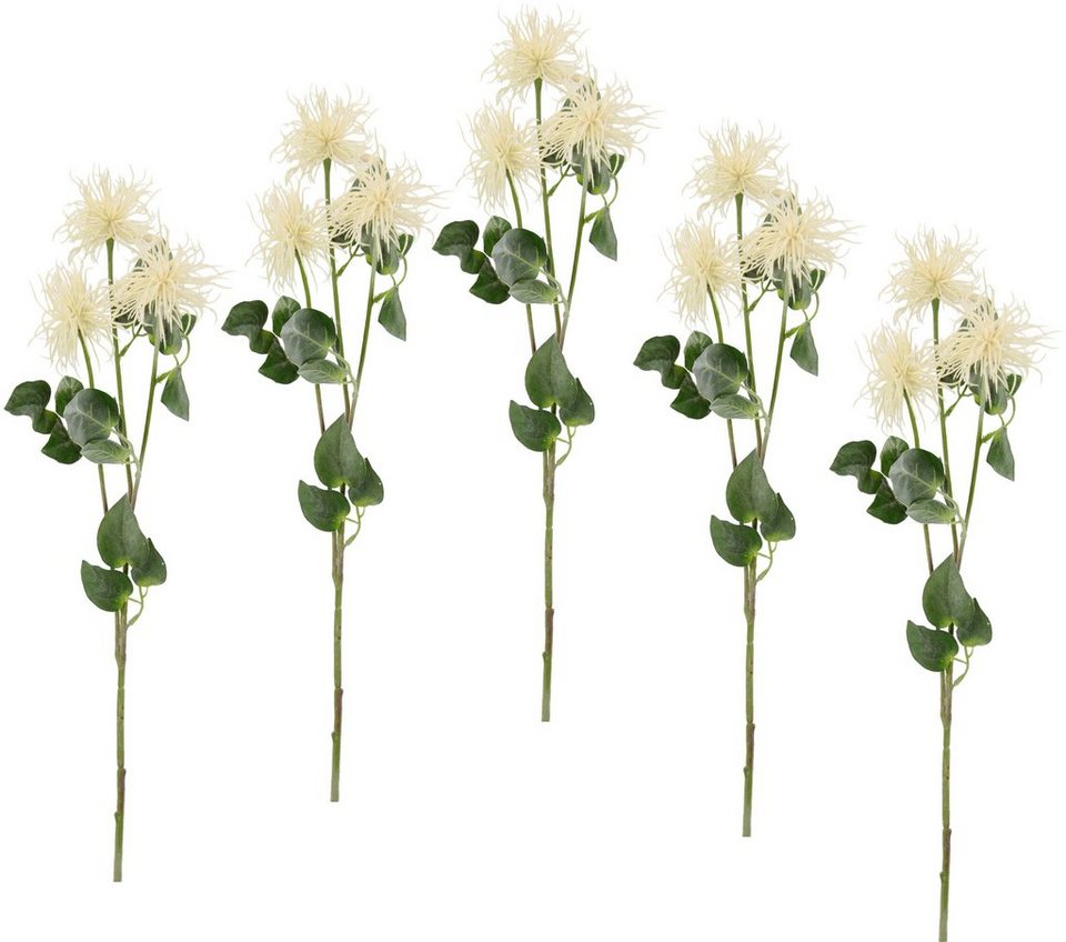 Kunstblume Spinnenprotea, I.GE.A., Höhe 78 cm, 5er Set