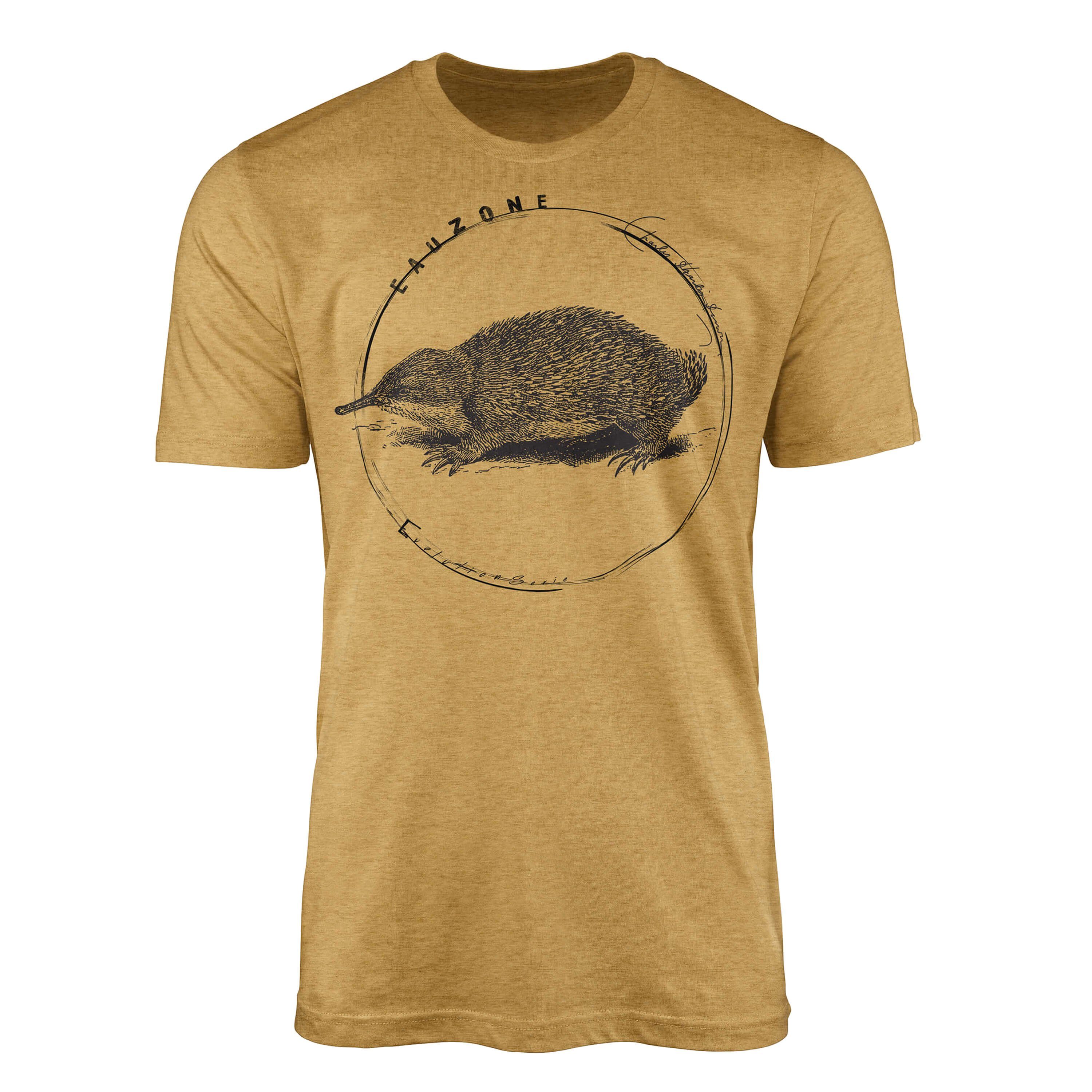 Herren T-Shirt Gold Evolution Ameisenigel Antique T-Shirt Sinus Art
