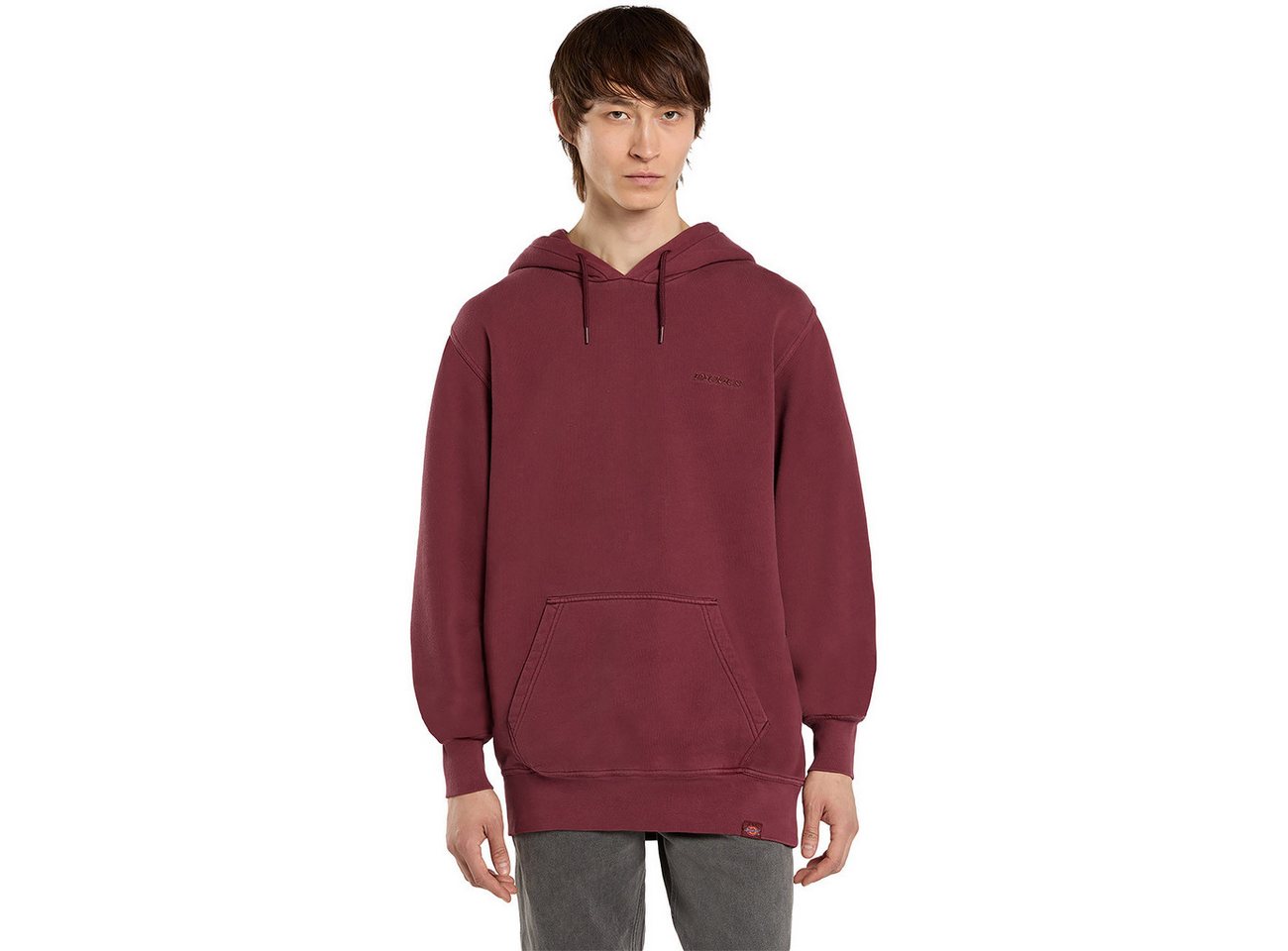 Dickies Hoodie PLENTYWOOD HOODIE PLENTYWOOD HOODIE