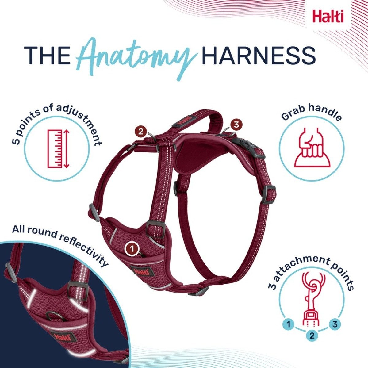 Company of Animals Hunde-Geschirr Hundegeschirr Anatomy Harness Magenta