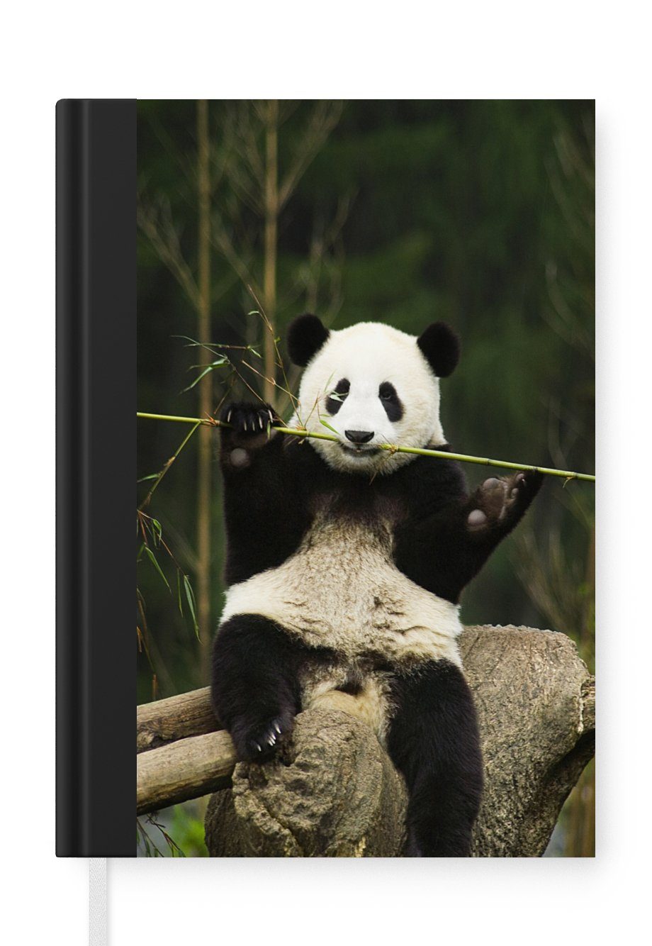MuchoWow Notizbuch Panda - Bambus - Wald, Journal, Merkzettel, Tagebuch, Notizheft, A5, 98 Seiten, Haushaltsbuch