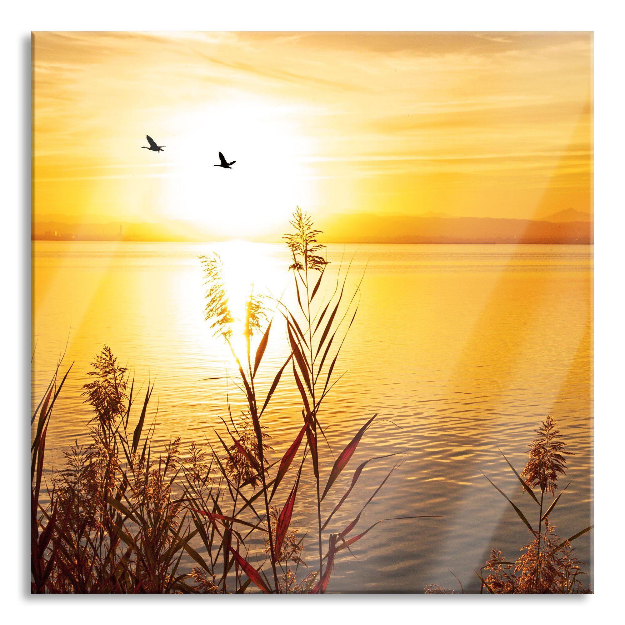 St), Aufhängungen Echtglas, am und am See, Abstandshalter aus Sonnenuntergang (1 Sonnenuntergang See Pixxprint Glasbild Glasbild inkl.