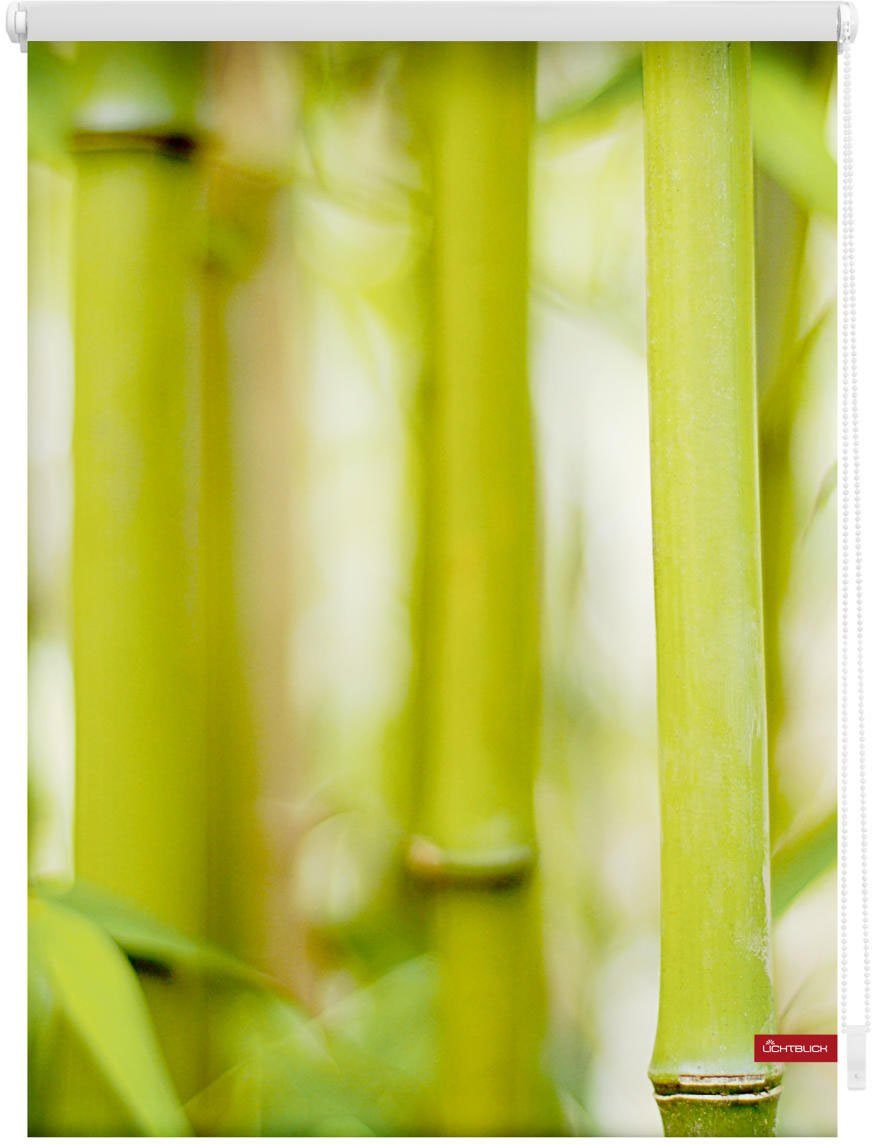 Seitenzugrollo Rollo Klemmfix, ohne Bohren, Klemmfix Bambus verdunkelnd, Grün, ORIGINAL, freihängend, LICHTBLICK - Verdunkelung