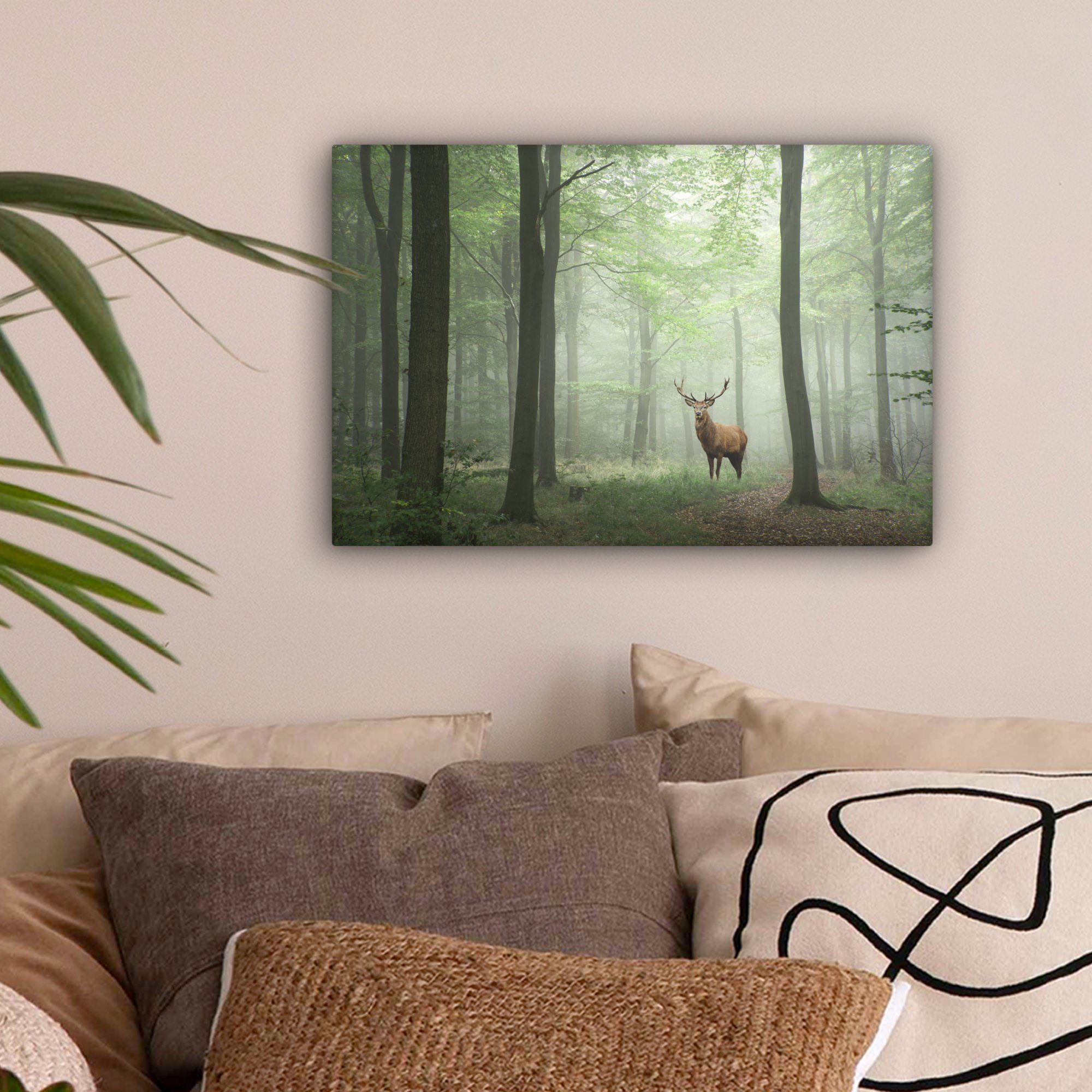 OneMillionCanvasses® Leinwandbild Hirsche - Wald - Bäume, Fotodruck (1 St), günstig online kaufen