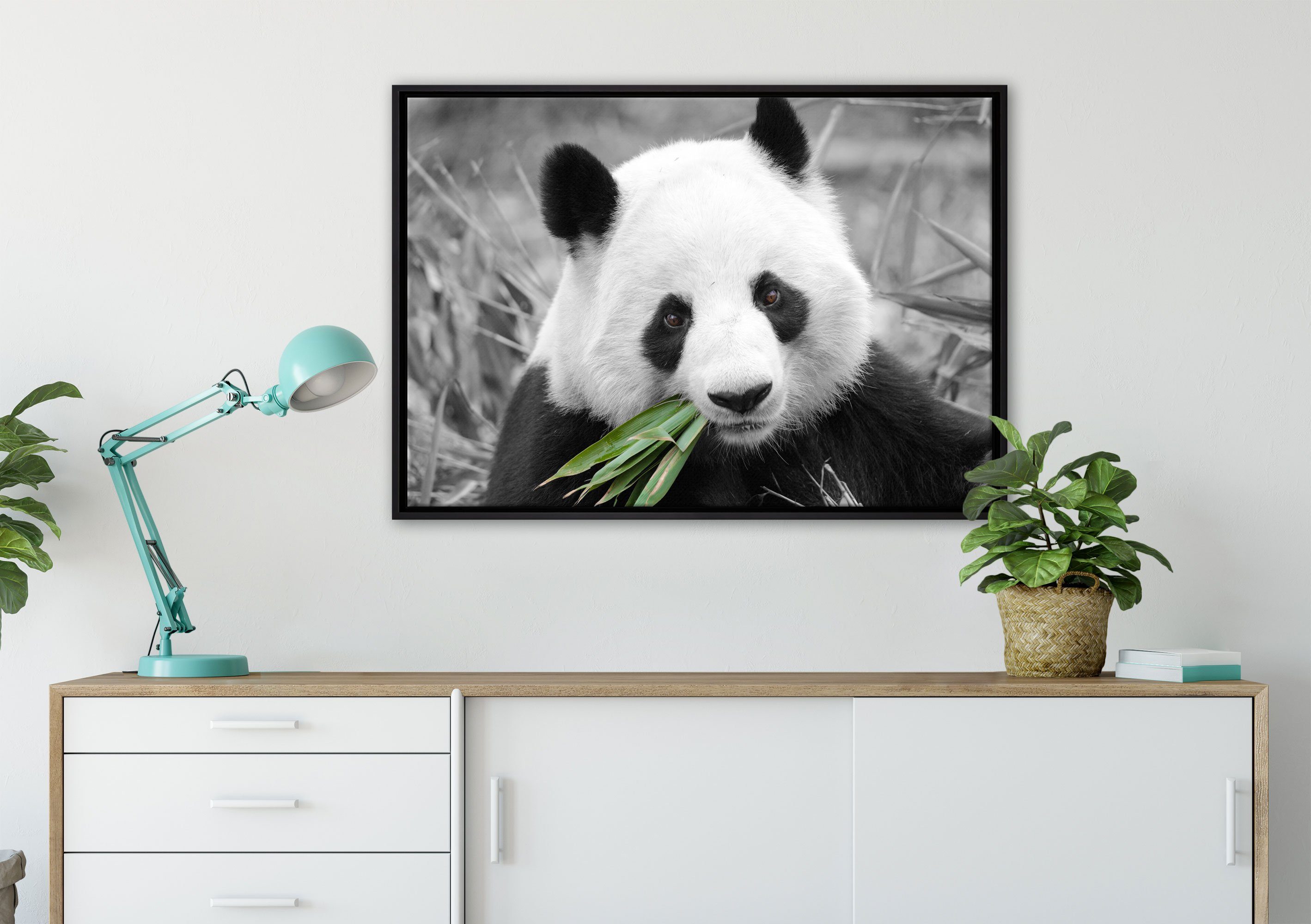 St), frisst Panda bespannt, Schattenfugen-Bilderrahmen kuscheliger Leinwandbild Bambus, (1 inkl. in Wanddekoration einem Pixxprint fertig Leinwandbild gefasst, Zackenaufhänger