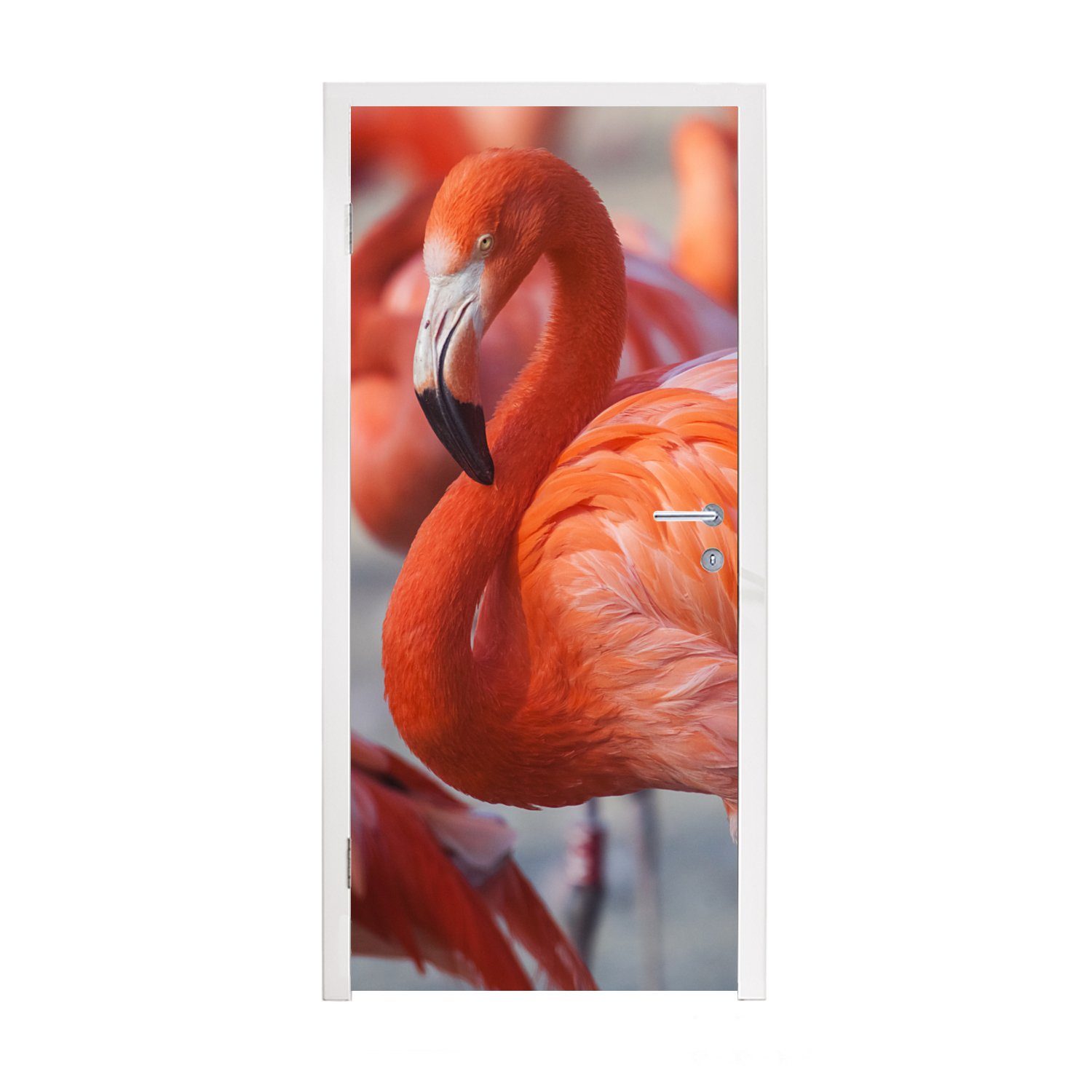 MuchoWow Türtapete Flamingo - Vogel - Tiere - Rosa, Matt, bedruckt, (1 St), Fototapete für Tür, Türaufkleber, 75x205 cm