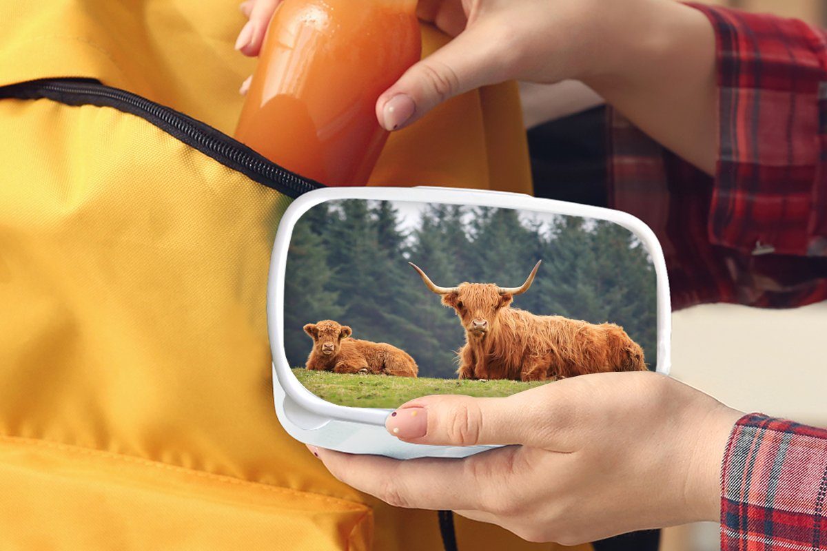 Lunchbox für - Kunststoff, und Jungs (2-tlg), und Gras für Brotdose, - Highlander weiß Kinder Brotbox Erwachsene, Wald, Schottische Mädchen MuchoWow