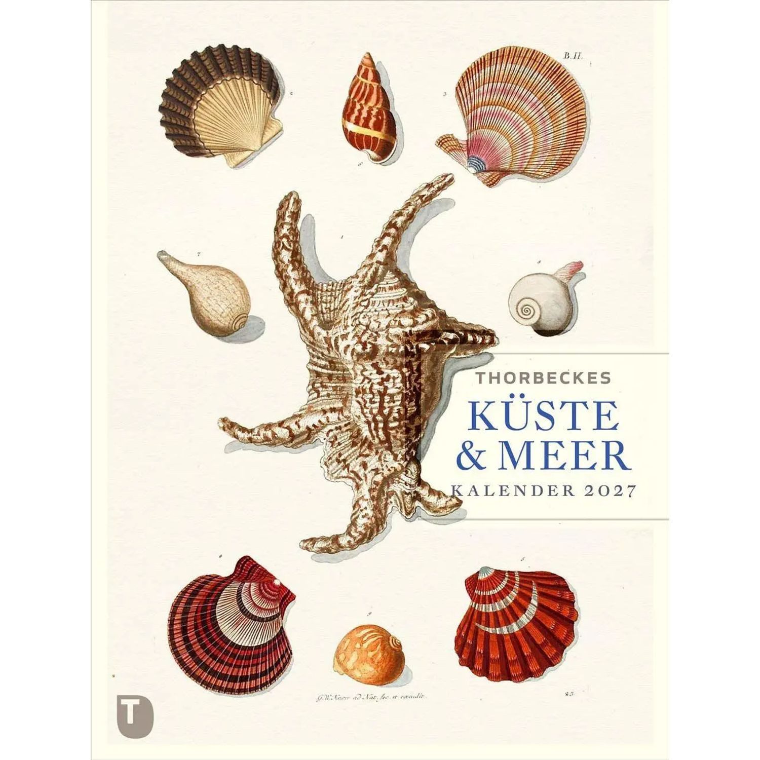 Thorbecke Verlag Wandkalender Thorbeckes Küste-und-Meer-Kalender 2027