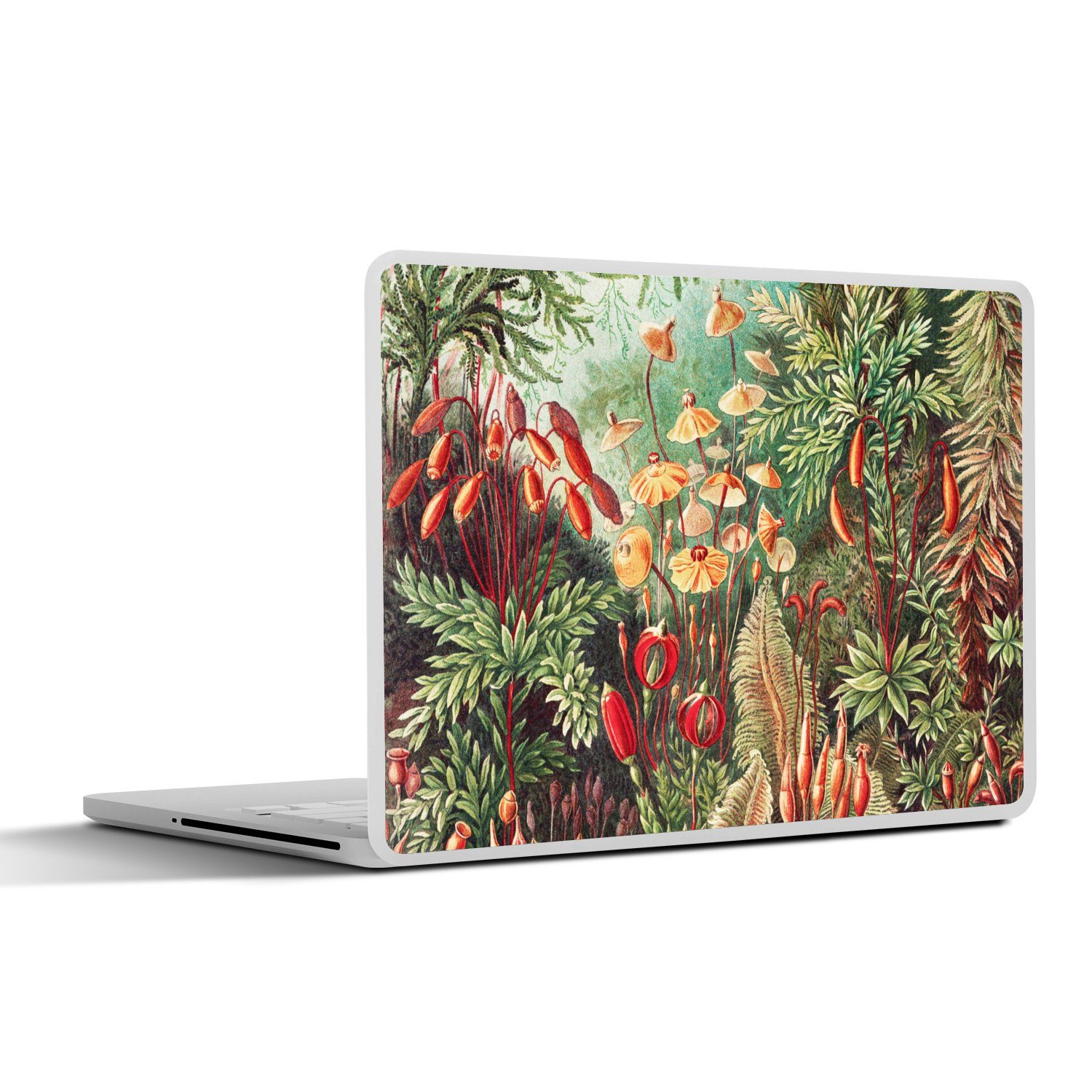 MuchoWow Laptop-Aufkleber Blumen - Kunst - Vintage - Natur - Botanisch, (1tlg), Laptop Folien Cover, Aufkleber, Sticker, Schutz vor Kratzern, 25x18 cm