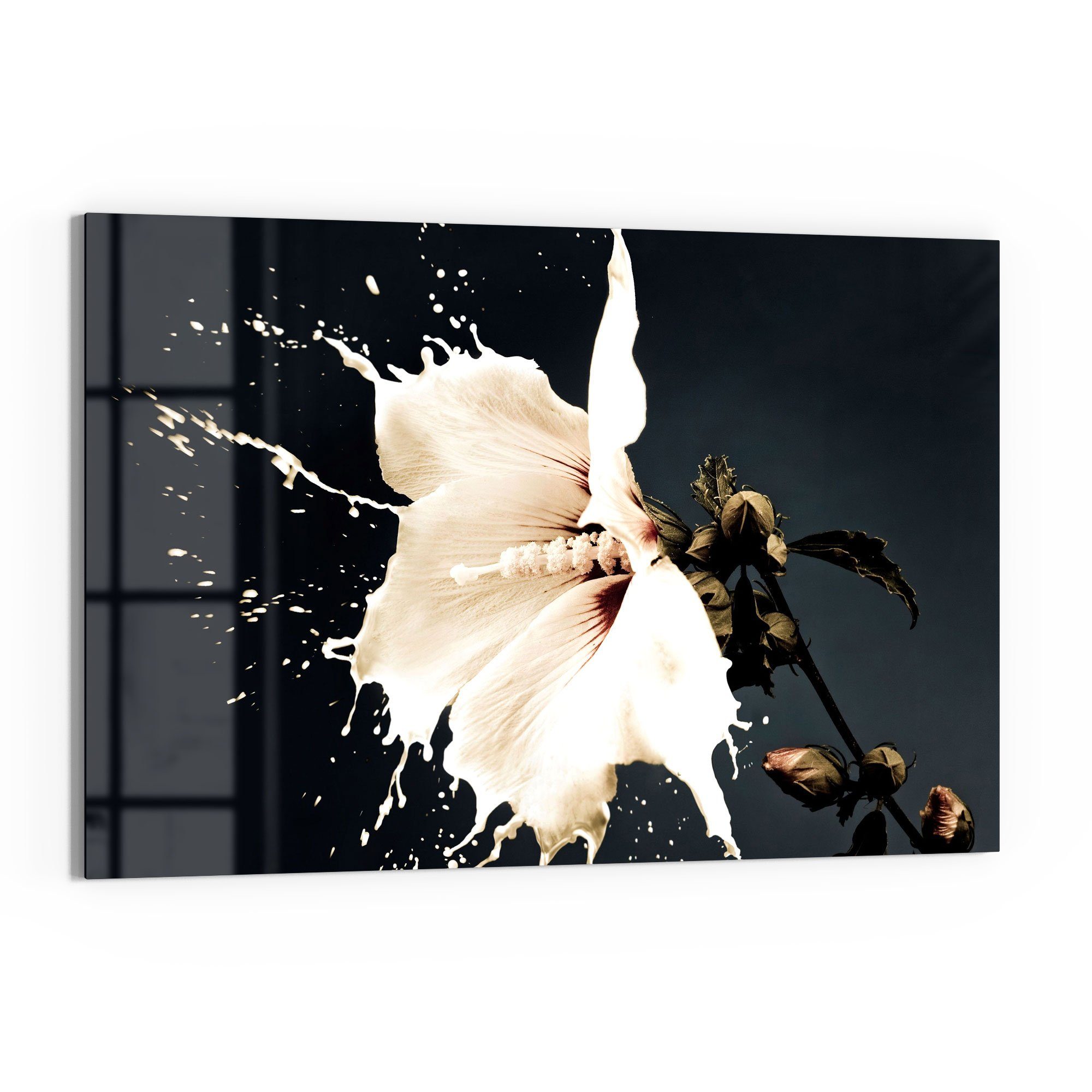 DEQORI Glasbild 'Milchige Blüte', 'Milchige Blüte', günstig online kaufen