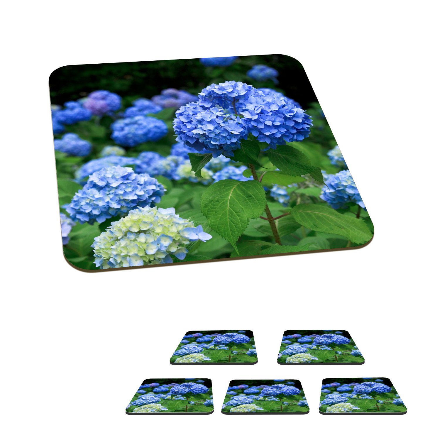MuchoWow Glasuntersetzer Blaue Hortensienblüten, Zubehör für Gläser, 6-tlg., Glasuntersetzer, Tischuntersetzer, Korkuntersetzer, Untersetzer, Tasse