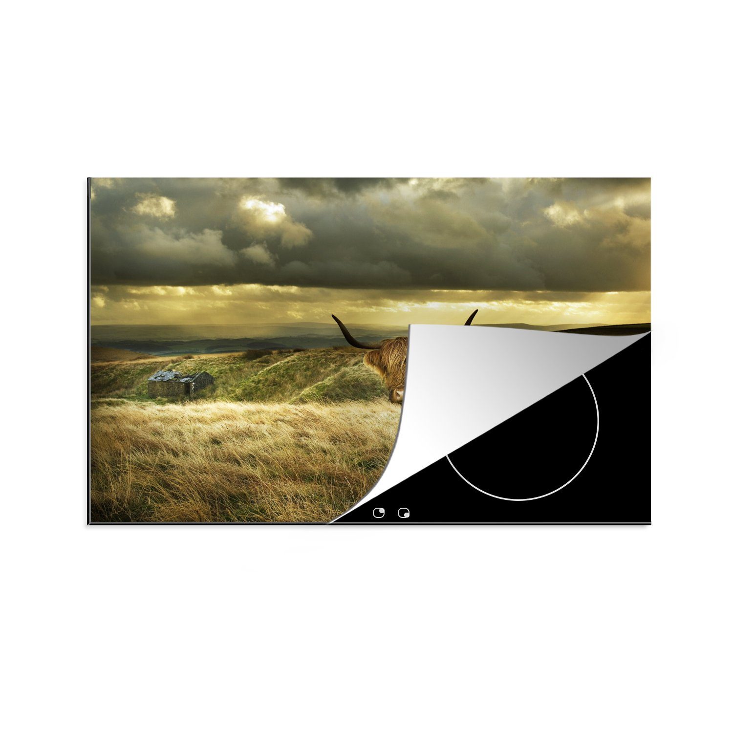 MuchoWow Herdblende-/Abdeckplatte Schottische Highlander - Natur - Bauernhof, Vinyl, (1 tlg), 81x52 cm, Induktionskochfeld Schutz für die küche, Ceranfeldabdeckung