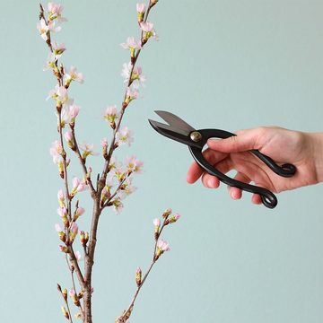 Wazakura Gartenschere Ikenobo Classic Ikebana Blumenschere 6,5"(165mm)