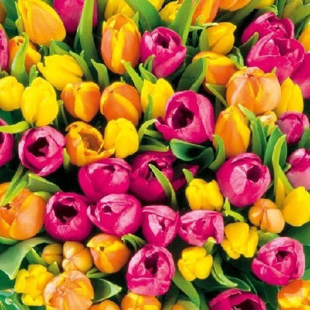 Ambiente Luxury Paper Products Papierserviette Party, Vogel, Tiere, Schnee, Weihnachten, Geburtstag, (20 St), Tischdeko, Winter, Decoupage, Serviettentechnik geeignet