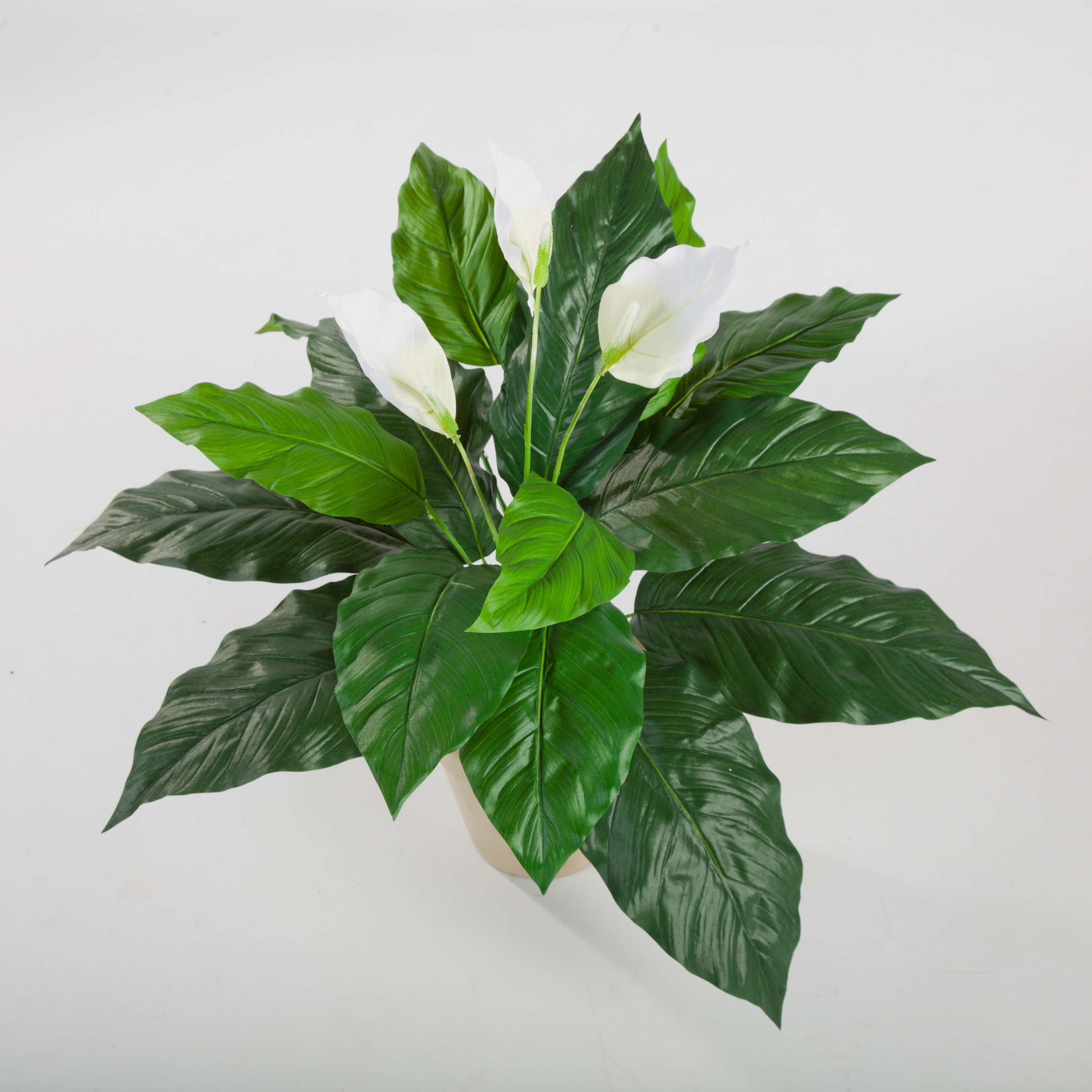 Kunstblume Spathiphyllum Romy, weiß, 3 Blüten, 17 Blätter, auf Steckstab, 70cm Spathiphyllum, artplants, Höhe 70.0 cm