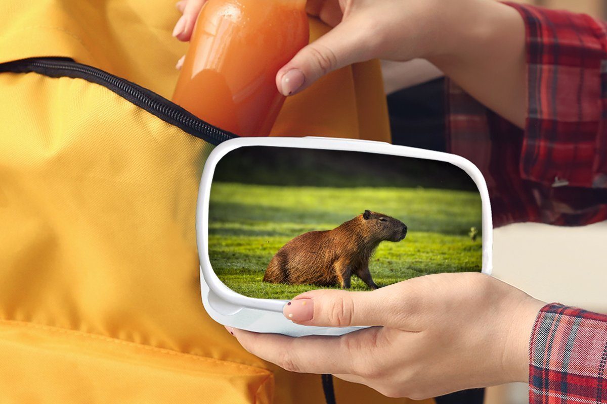 für über Mädchen (2-tlg), und Capybara, Kunststoff, Jungs und weiß dem Lunchbox Brotdose, Goldene Erwachsene, Brotbox MuchoWow für Sonnenstrahlen Kinder