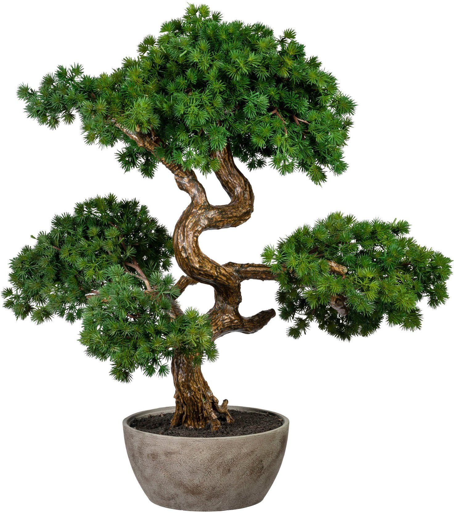 Kunstbonsai »Bonsai Lärche« Bonsai Lärche, Creativ green, Höhe 65 cm, in  Schale aus Naturmaterial