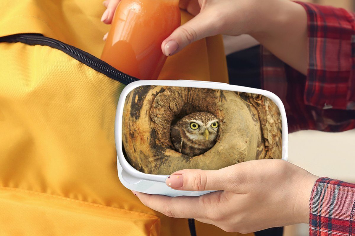 MuchoWow Lunchbox Braune Erwachsene, Eule, in Brotbox schaut, und die für Baum Kinder Kunststoff, Brotdose, einem und für Jungs weiß (2-tlg), einem Loch aus Mädchen