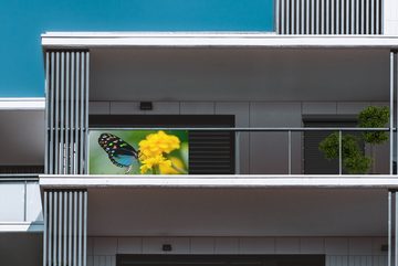 MuchoWow Balkonsichtschutz Schmetterling - Blume - Tier - Insekt (1-St) Balkonbanner, Sichtschutz für den Balkon, Robustes und wetterfest