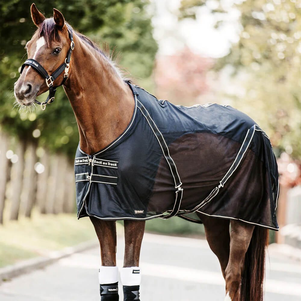 Back on track Ausreitdecke Back on Track Cooler-Decke Sienna