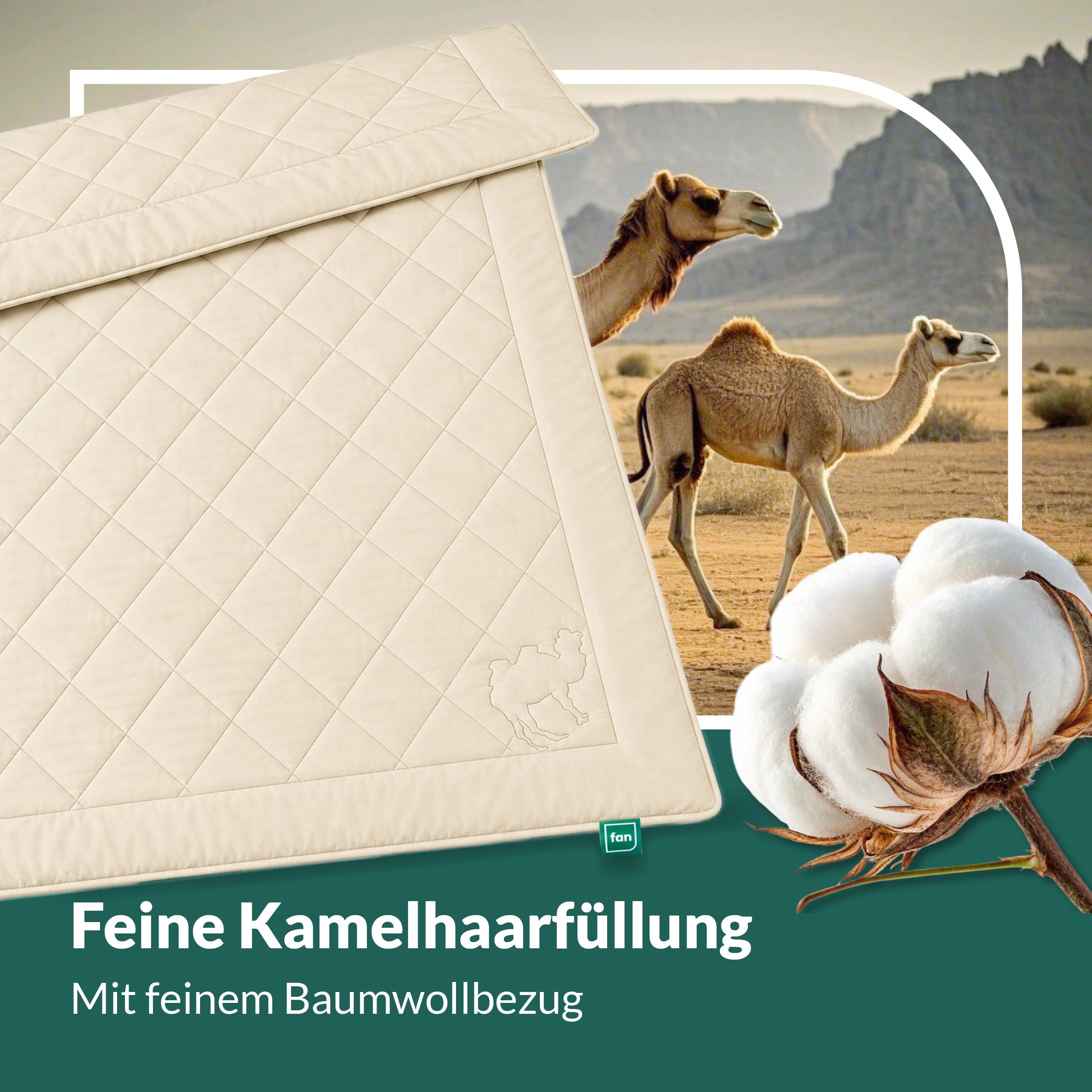 fan Naturhaarbettdecke Gobi, Bettdecken für Sommer und Winter, temperaturausgleichend, Füllung: Kamelhaar, Bezug: Baumwolle, Klimatisierende Kamelhaar-Füllung - – Bild 4 von 5