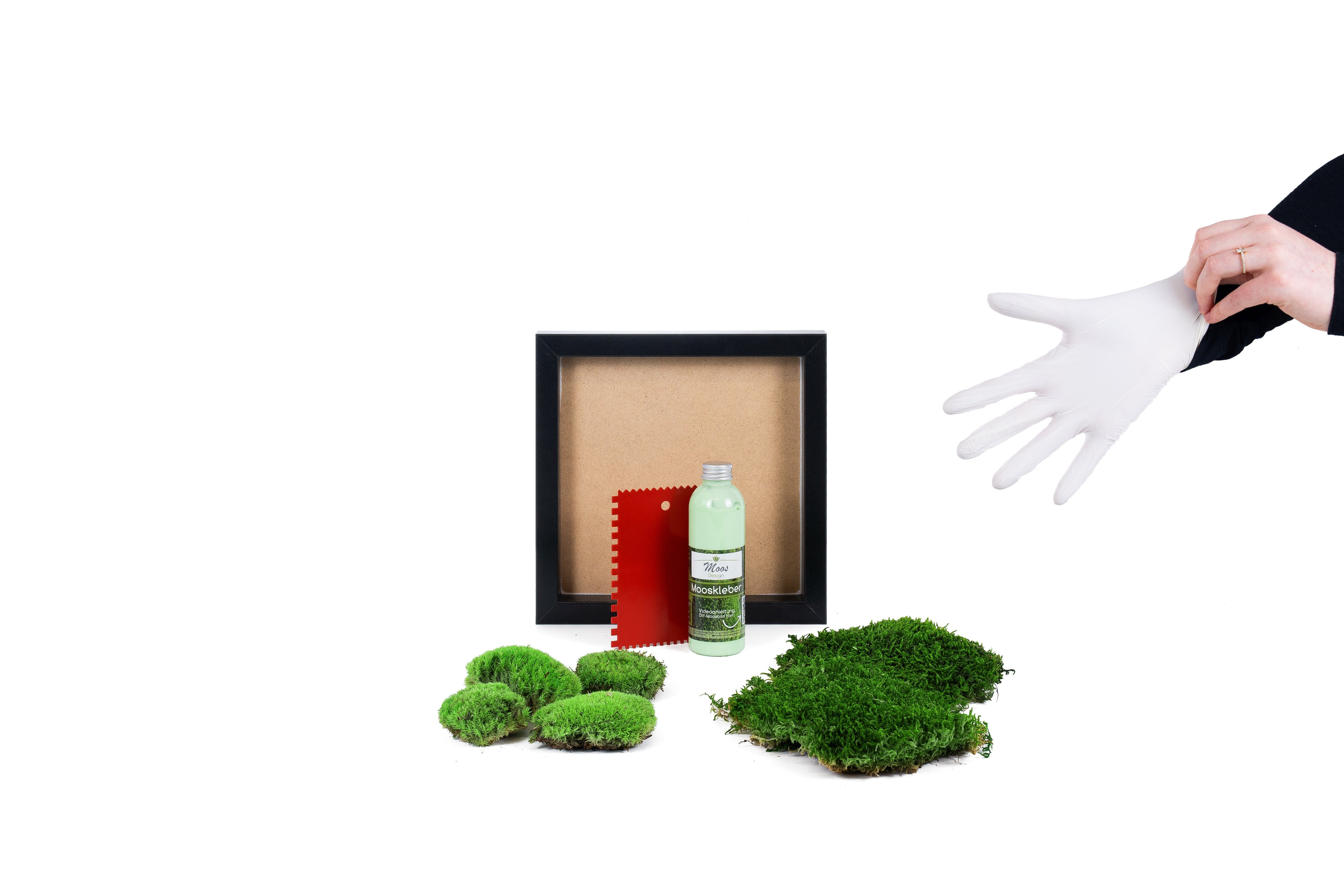 Moos-Design Bild DIY-Moosbild mit 50 % Kugelmoos und 50 % Flachmoos