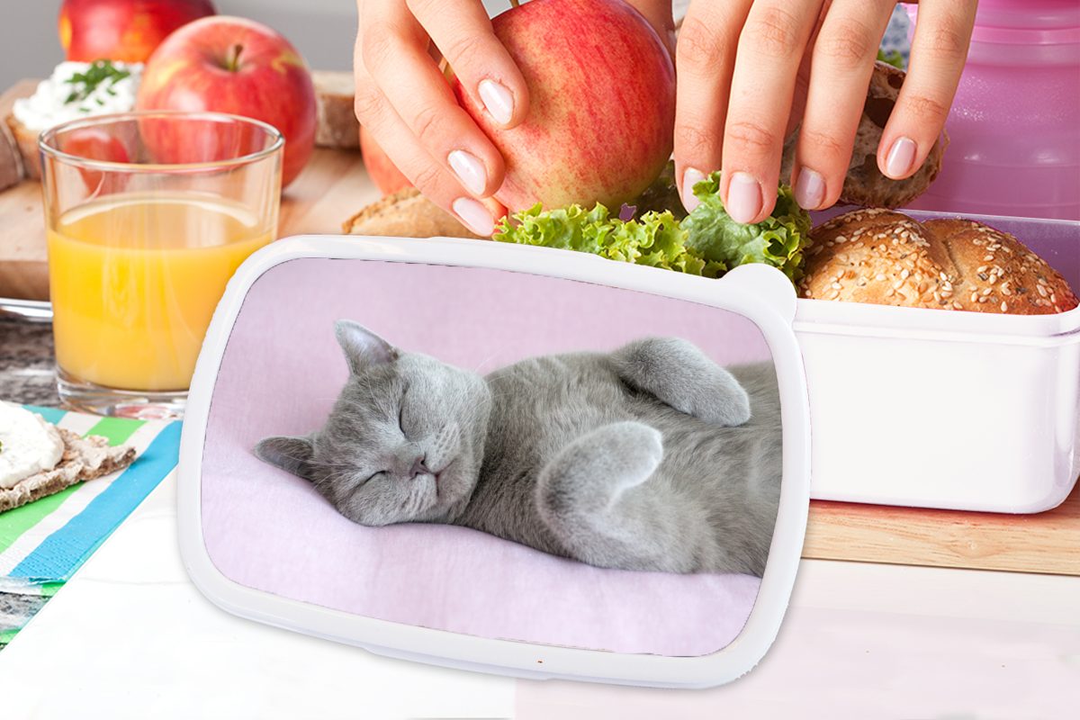 MuchoWow Brotbox Kinder Lunchbox auf Katze Mädchen für für und und weiß rosa Teppich, Jungs Kunststoff, Erwachsene, Graue schläft Brotdose, (2-tlg),