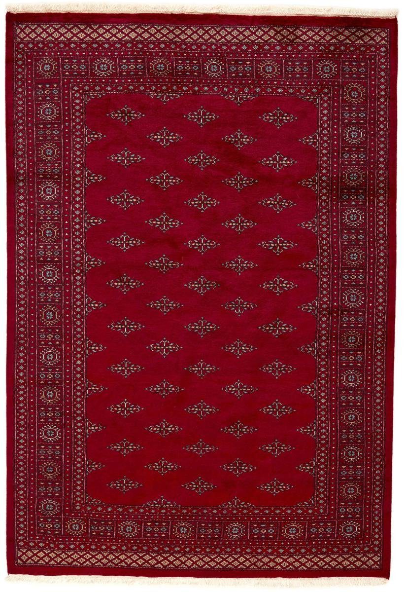 Orientteppich Pakistan Buchara 3ply 166x242 Handgeknüpfter Orientteppich, Nain Trading, rechteckig, Höhe: 8 mm