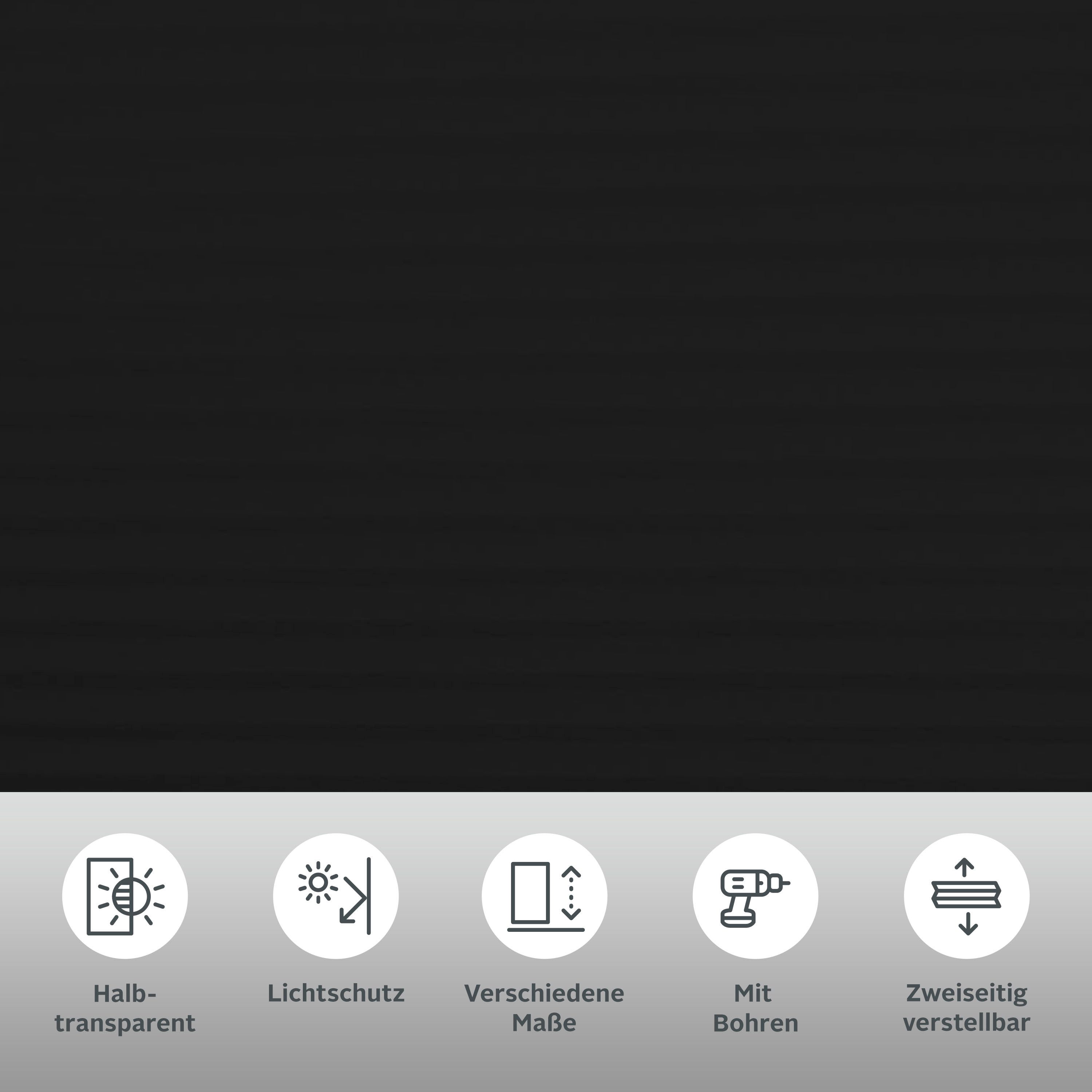 my home Insektenschutzplissee Mika, Lichtschutz, mit Bohren, in Führungsschienen, verschraubt, Insektenschutz und Wabenplissee in einem