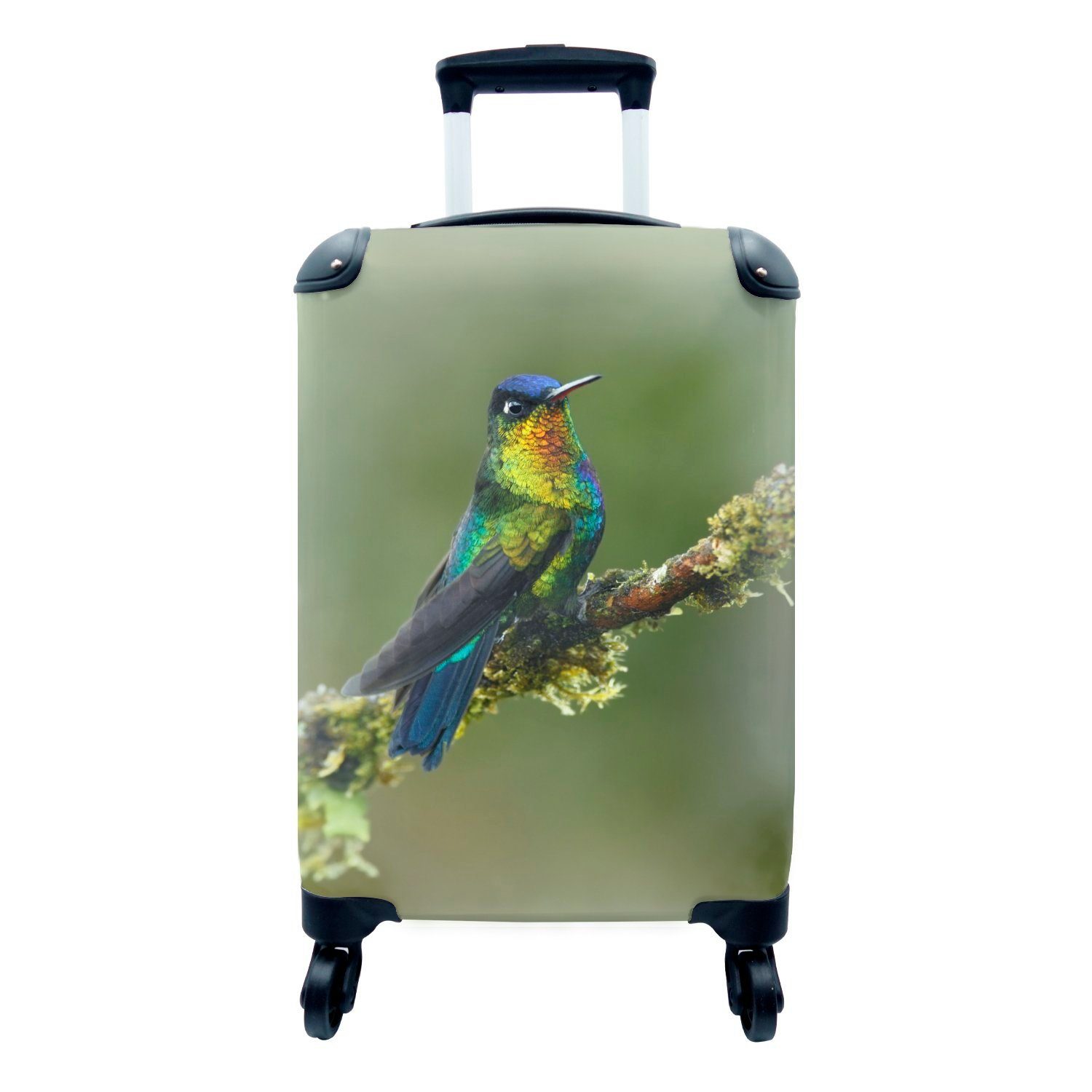 Reisetasche - 4 Kolibri Handgepäck Reisekoffer mit MuchoWow Ferien, Vogel - für Rollen, Handgepäckkoffer Trolley, rollen, Farben,