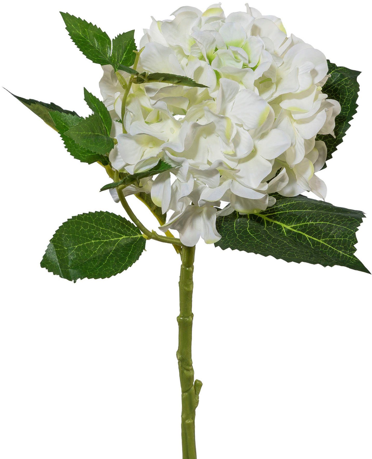 Kunstblume Hortensie Hortensie, Creativ green, Höhe günstig online kaufen