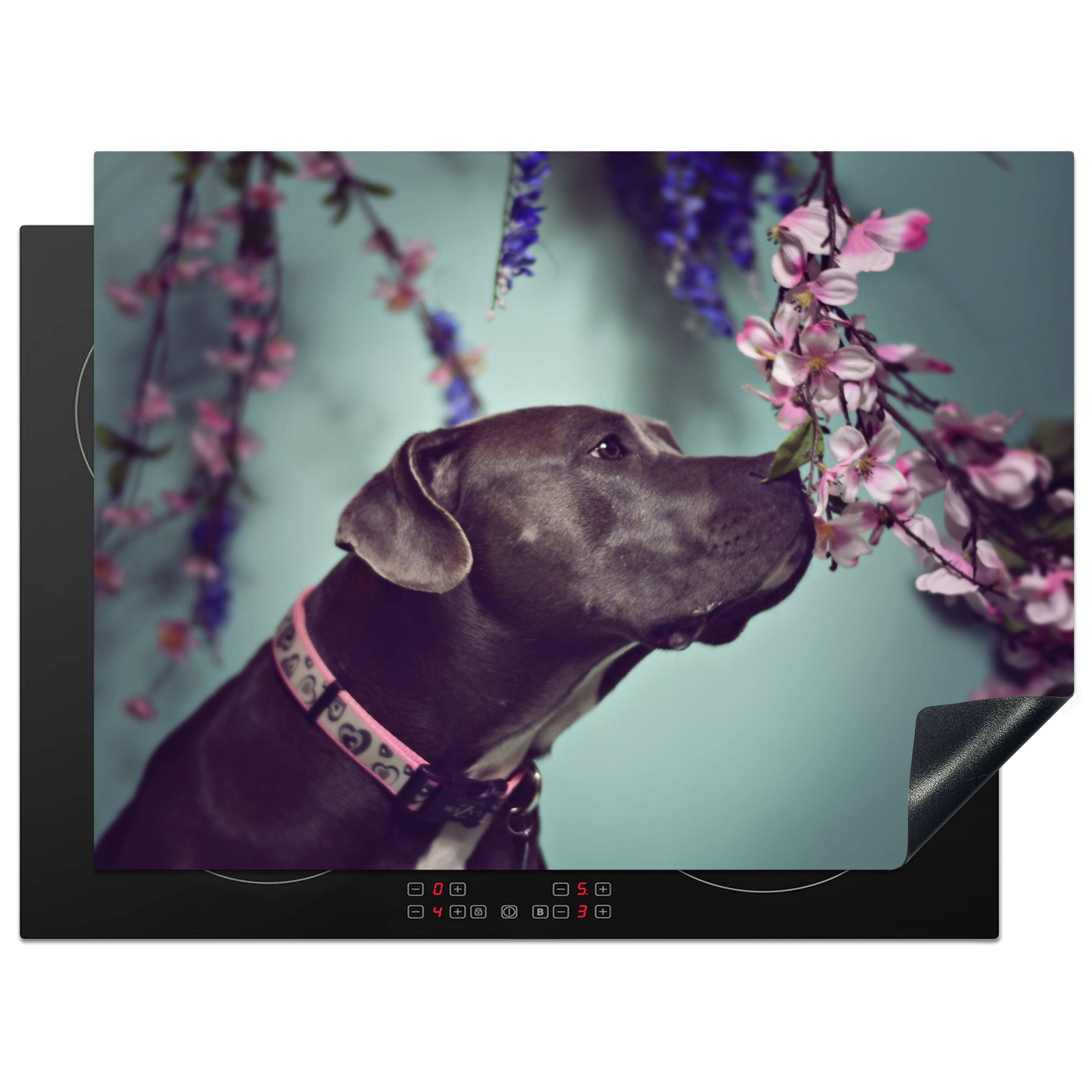 MuchoWow Herdblende-/Abdeckplatte American Staffordshire Terrier riecht an Blumen, Vinyl, (1 tlg), 70x52 cm, Mobile Arbeitsfläche nutzbar, Ceranfeldabdeckung
