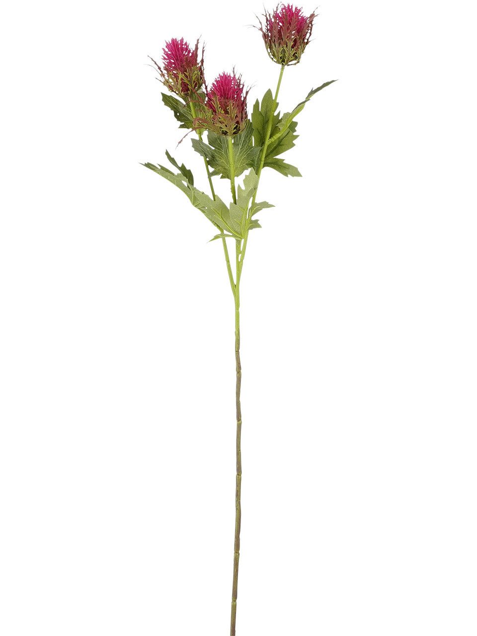 Kunstpflanze Mica Kunstpflanze Distel dunkelrosa Polyester günstig online kaufen